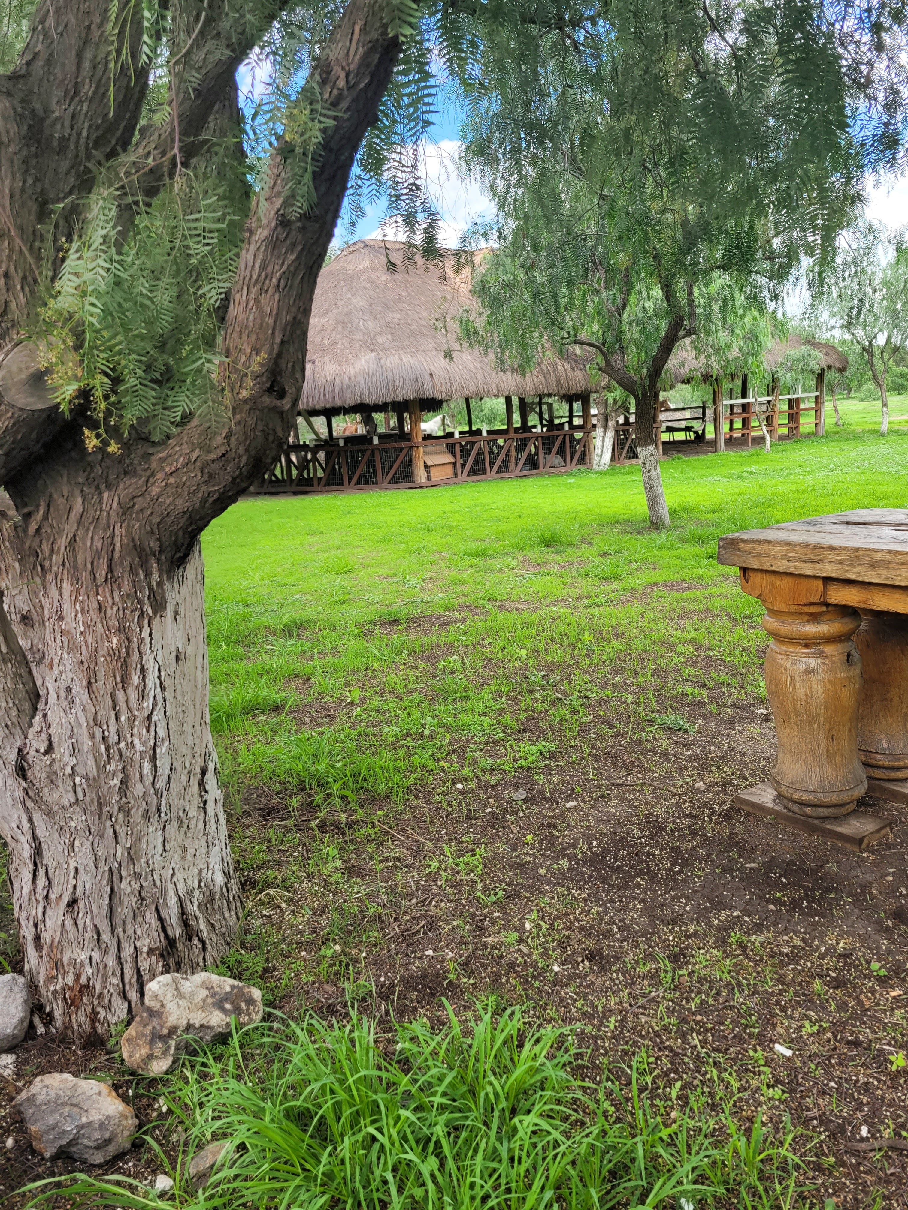 María y su bici San Miguel de Allende image 8