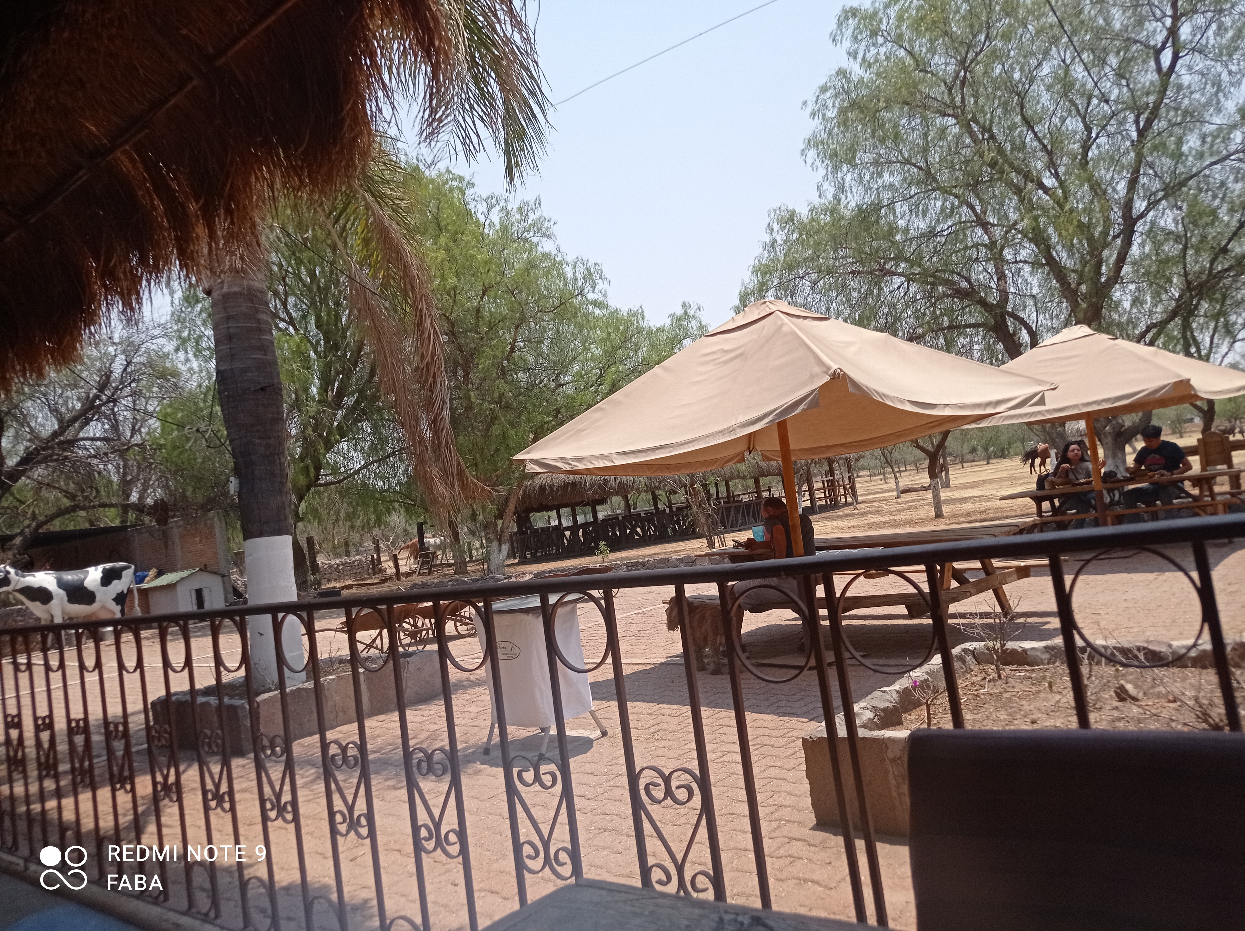 María y su bici San Miguel de Allende image 9