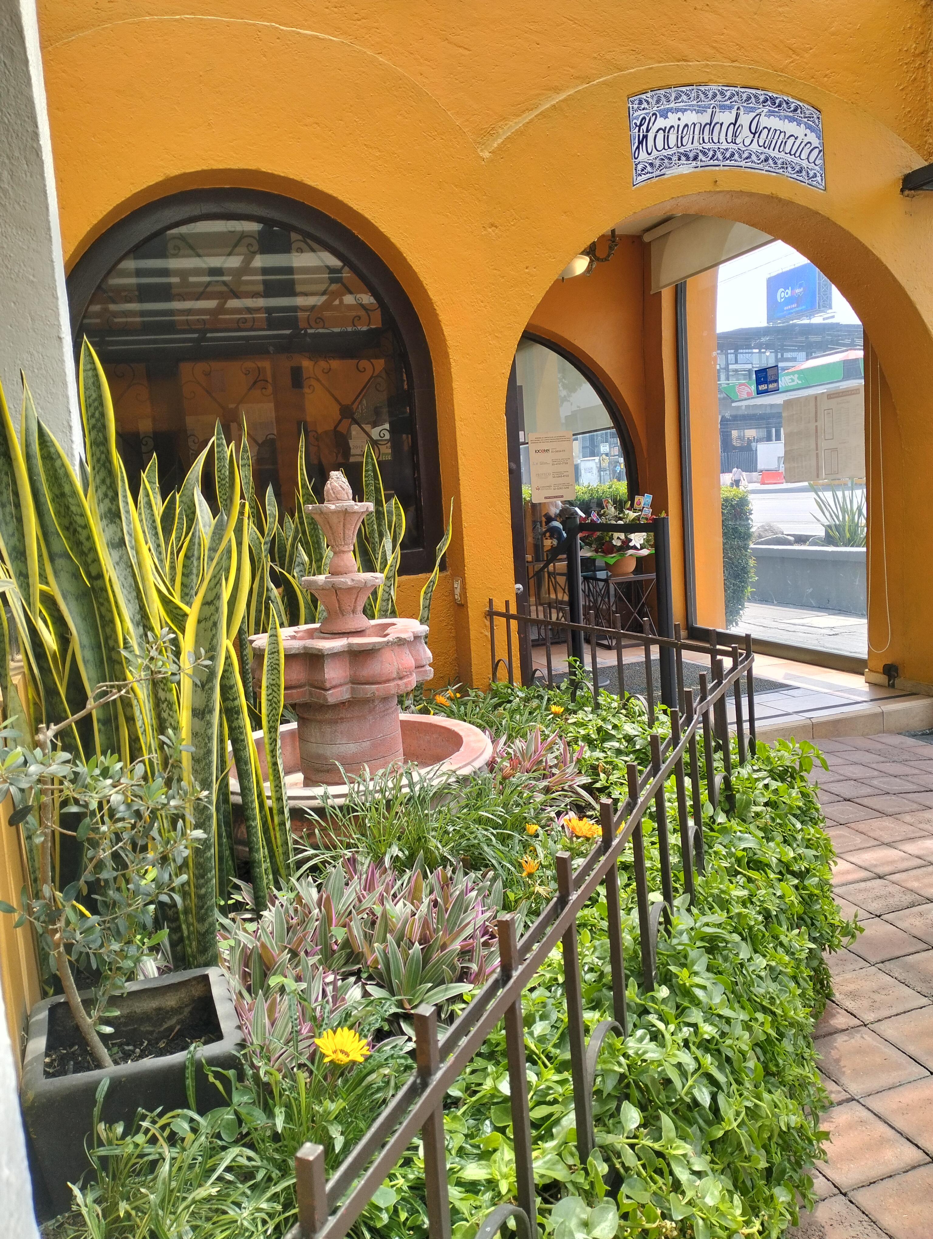 Hacienda de Jamaica image 7