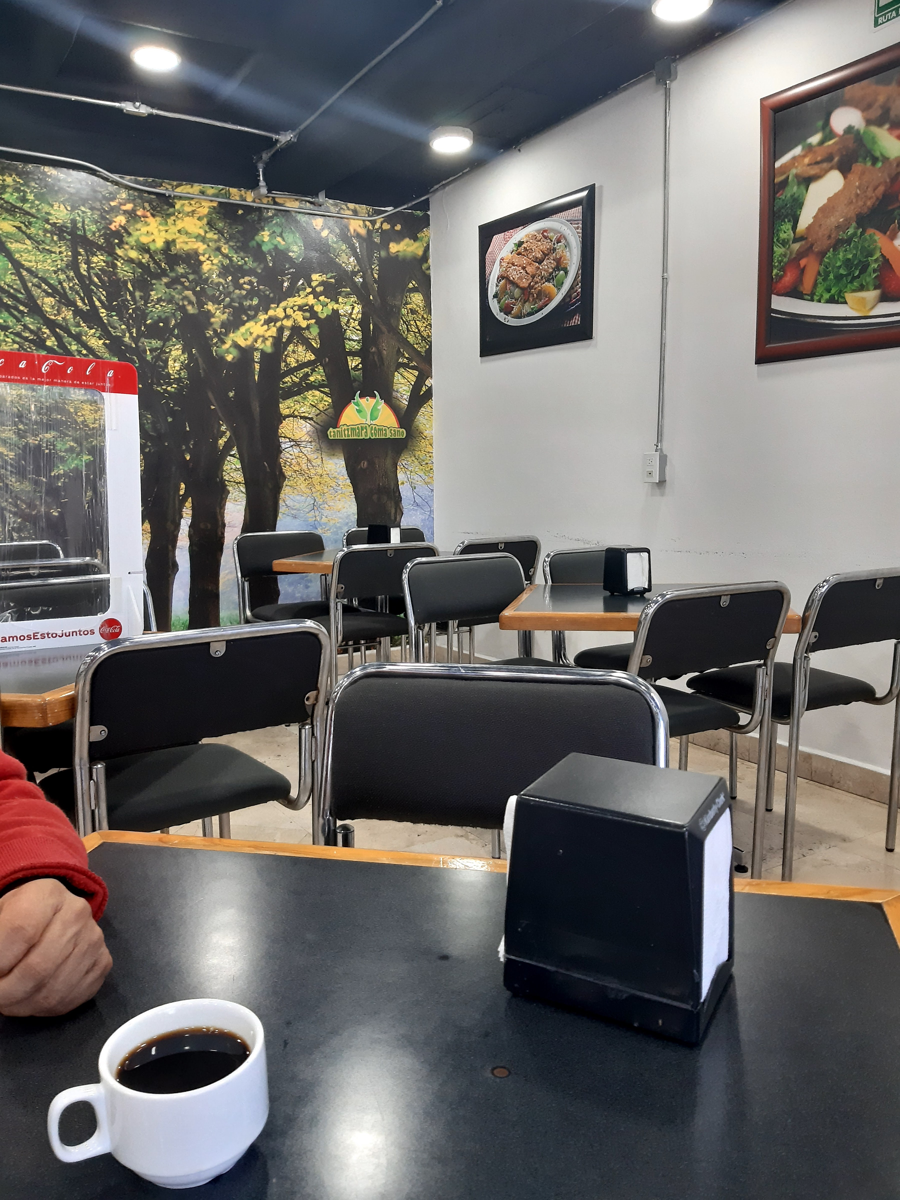 TANITZMARA COMA SANO image 1