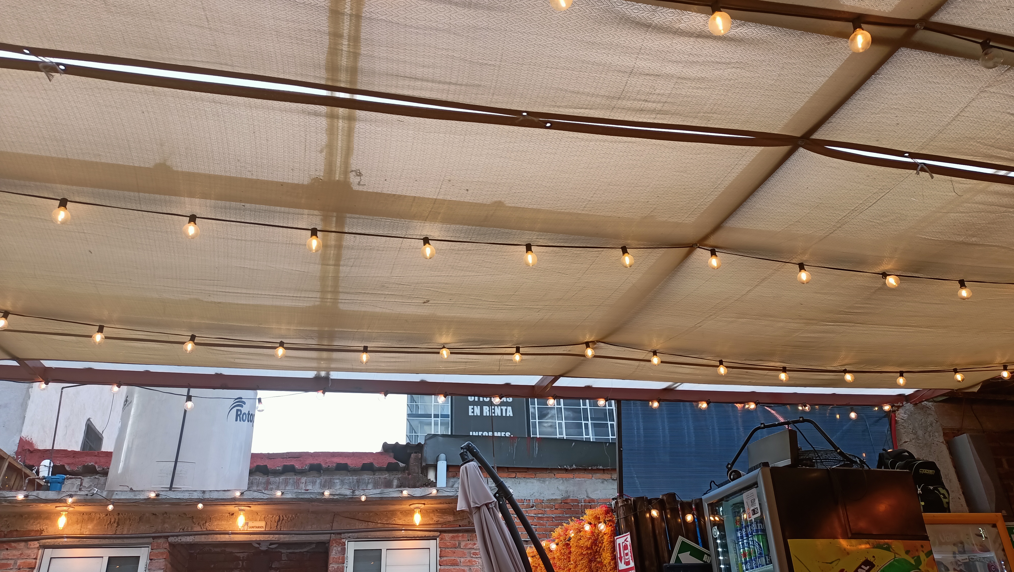 La Martina Drinks & Wings image 9