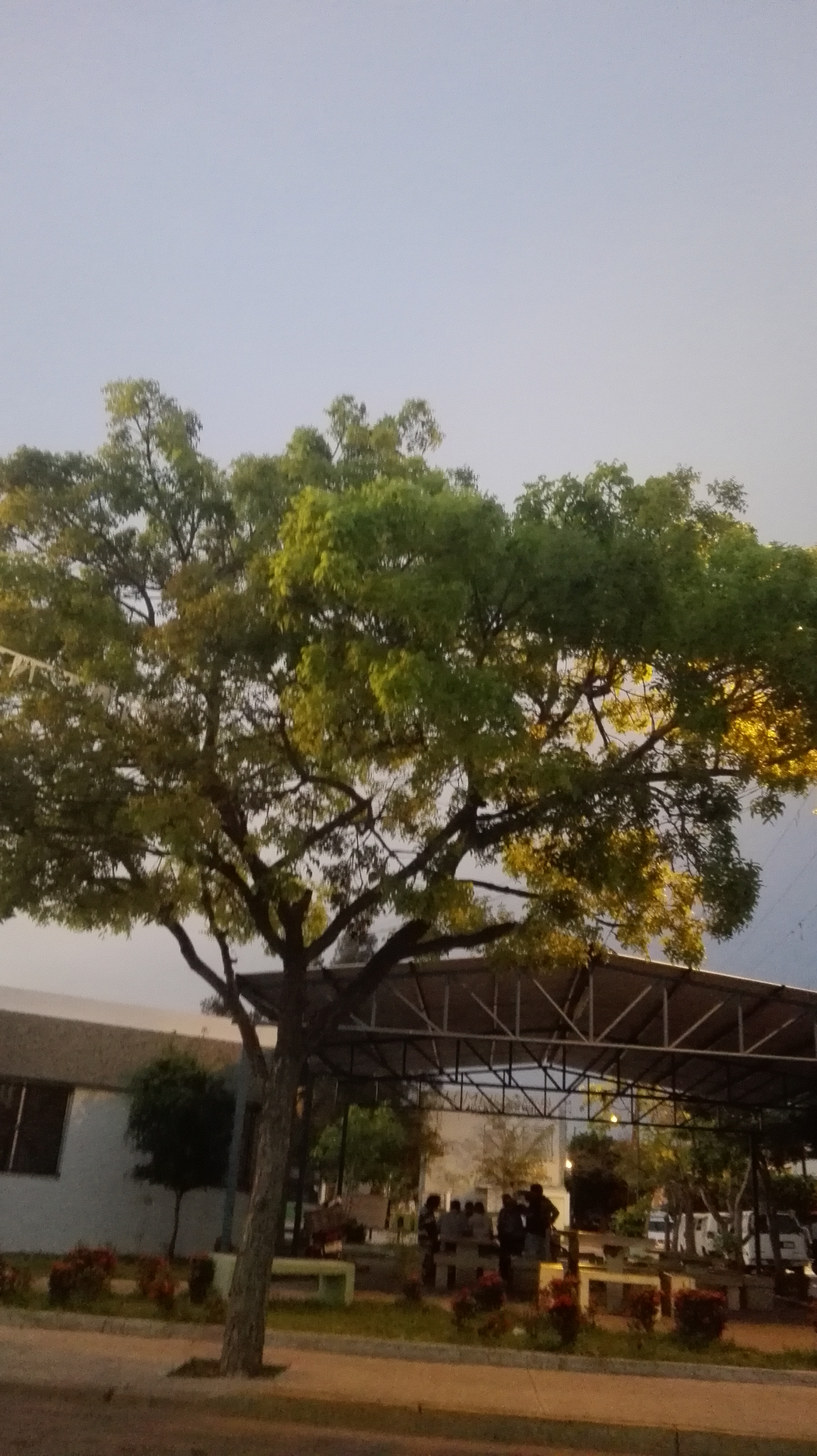 Taqueria Eliu image 6