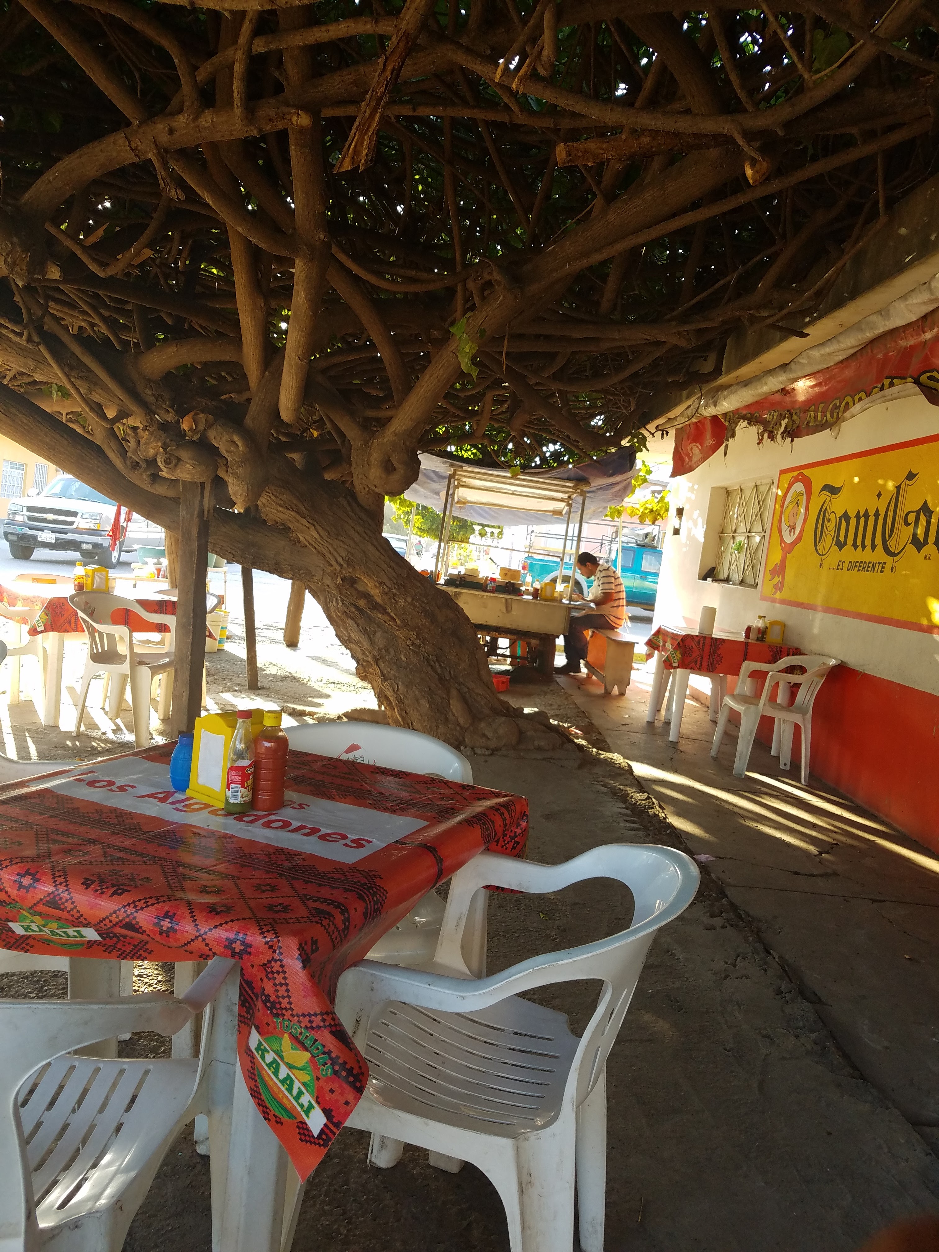 El Algodon Seafood image 5