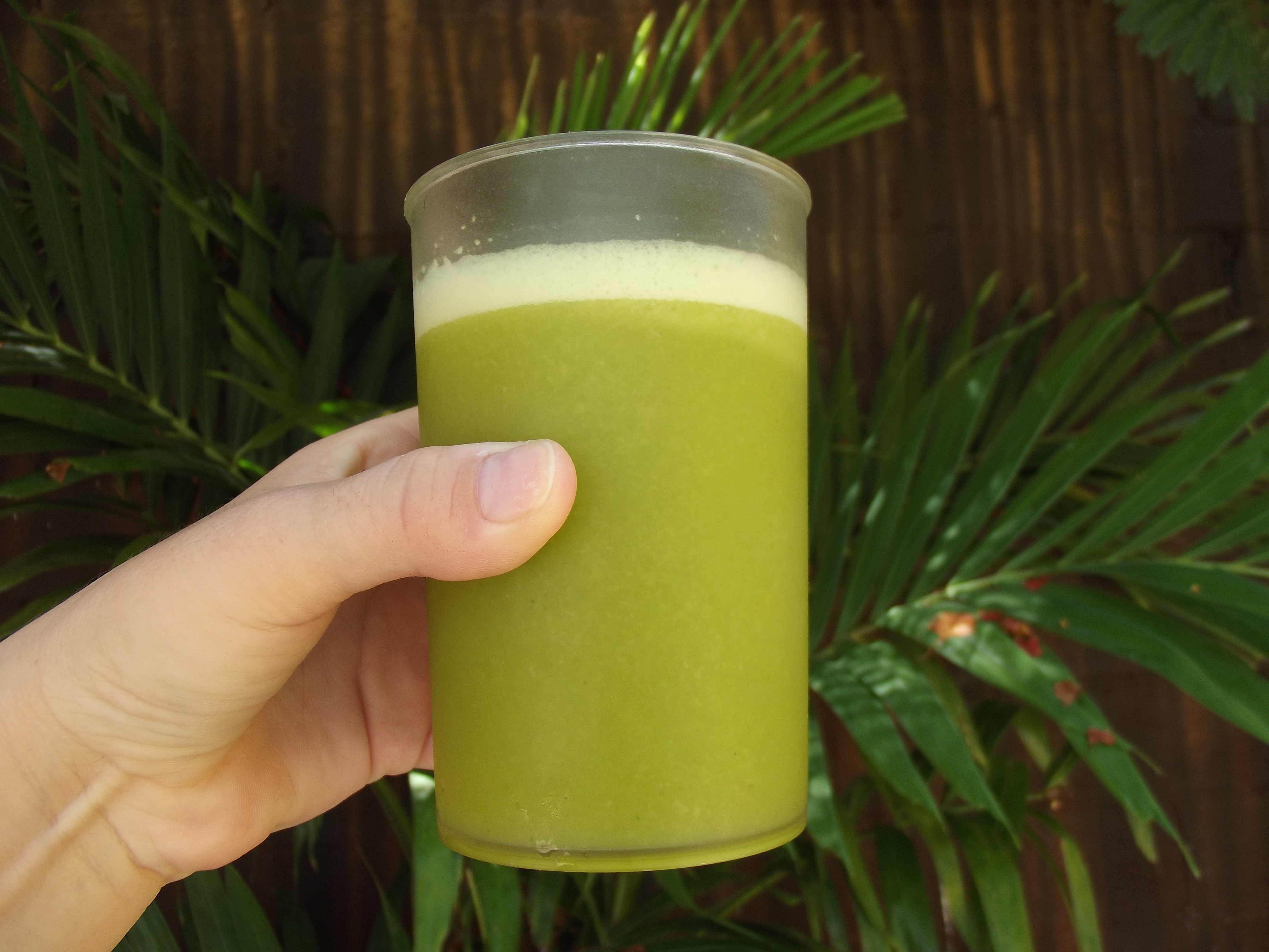 El Patio de los Chilaquiles image 10