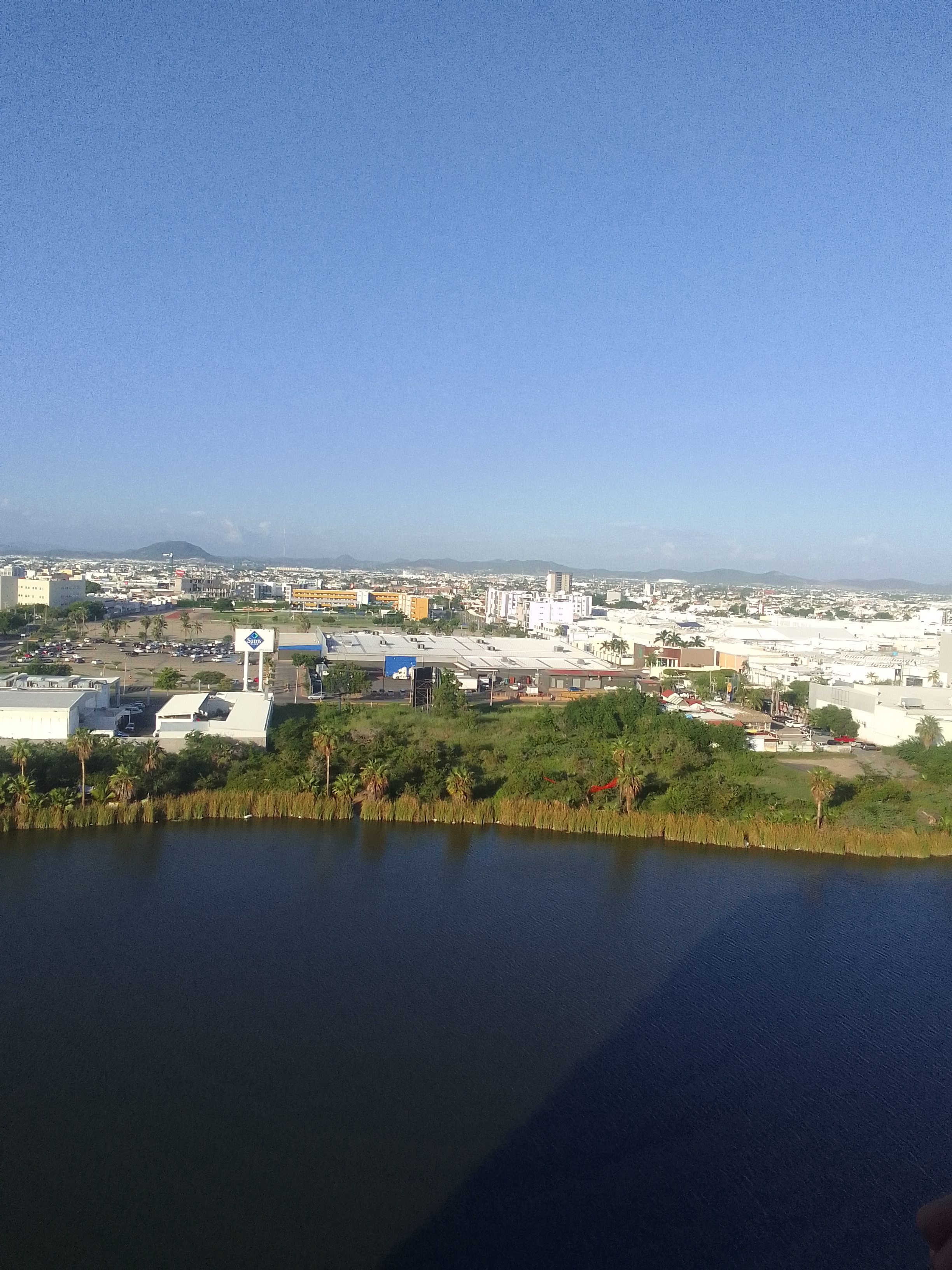 Apio Restaurante image 7