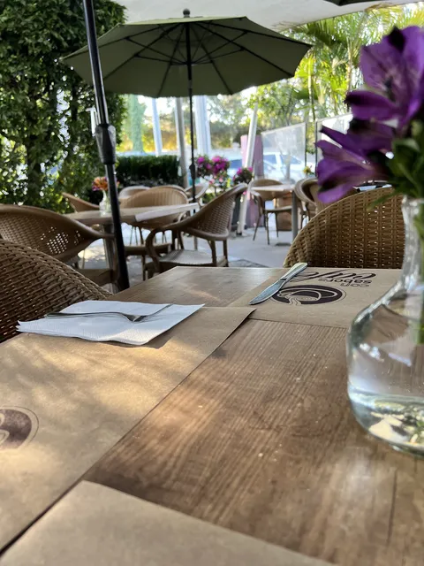 Con Sabor a Café image 7