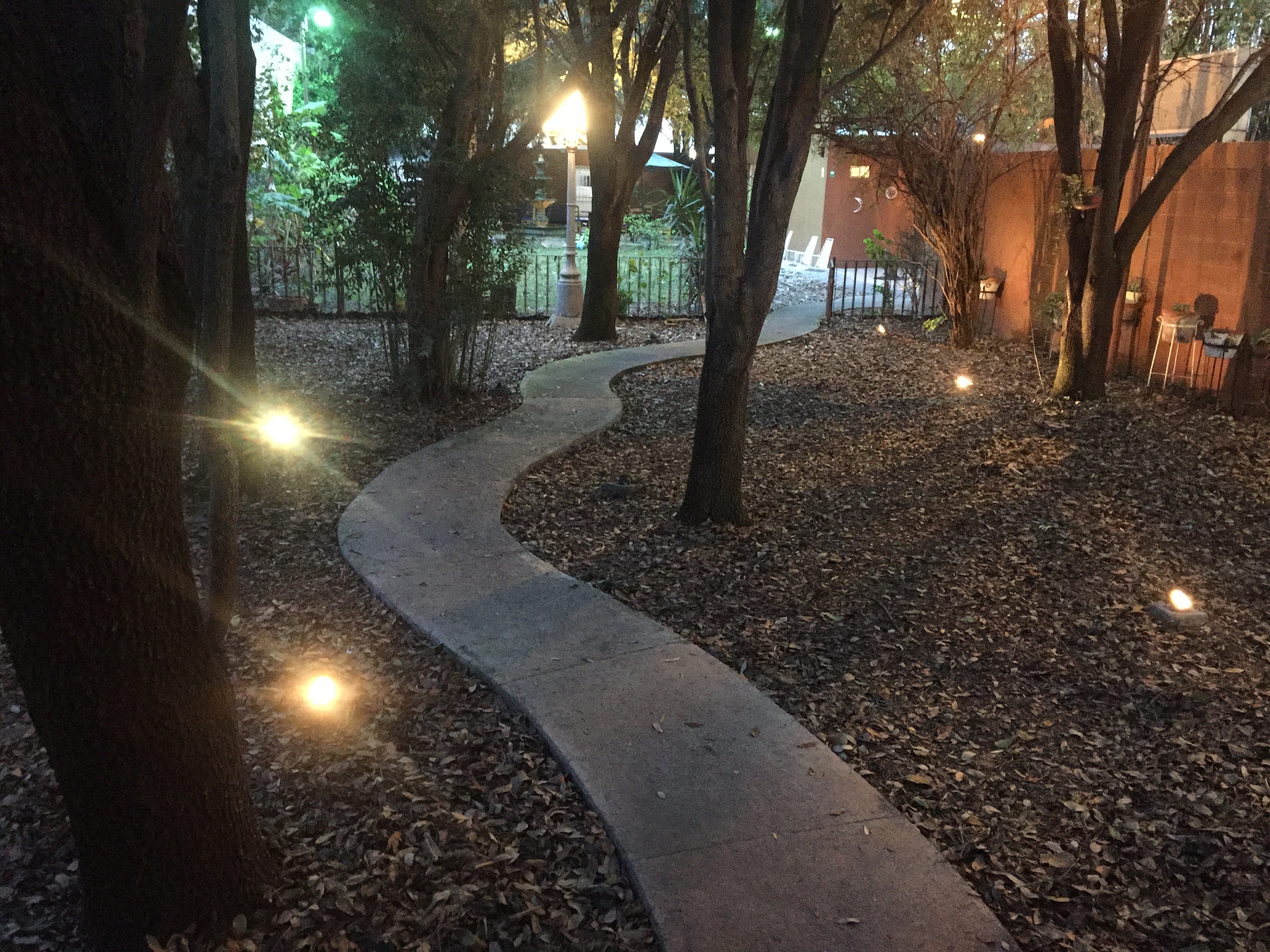 Patio de San Miguel. Restaurante-Café image 7