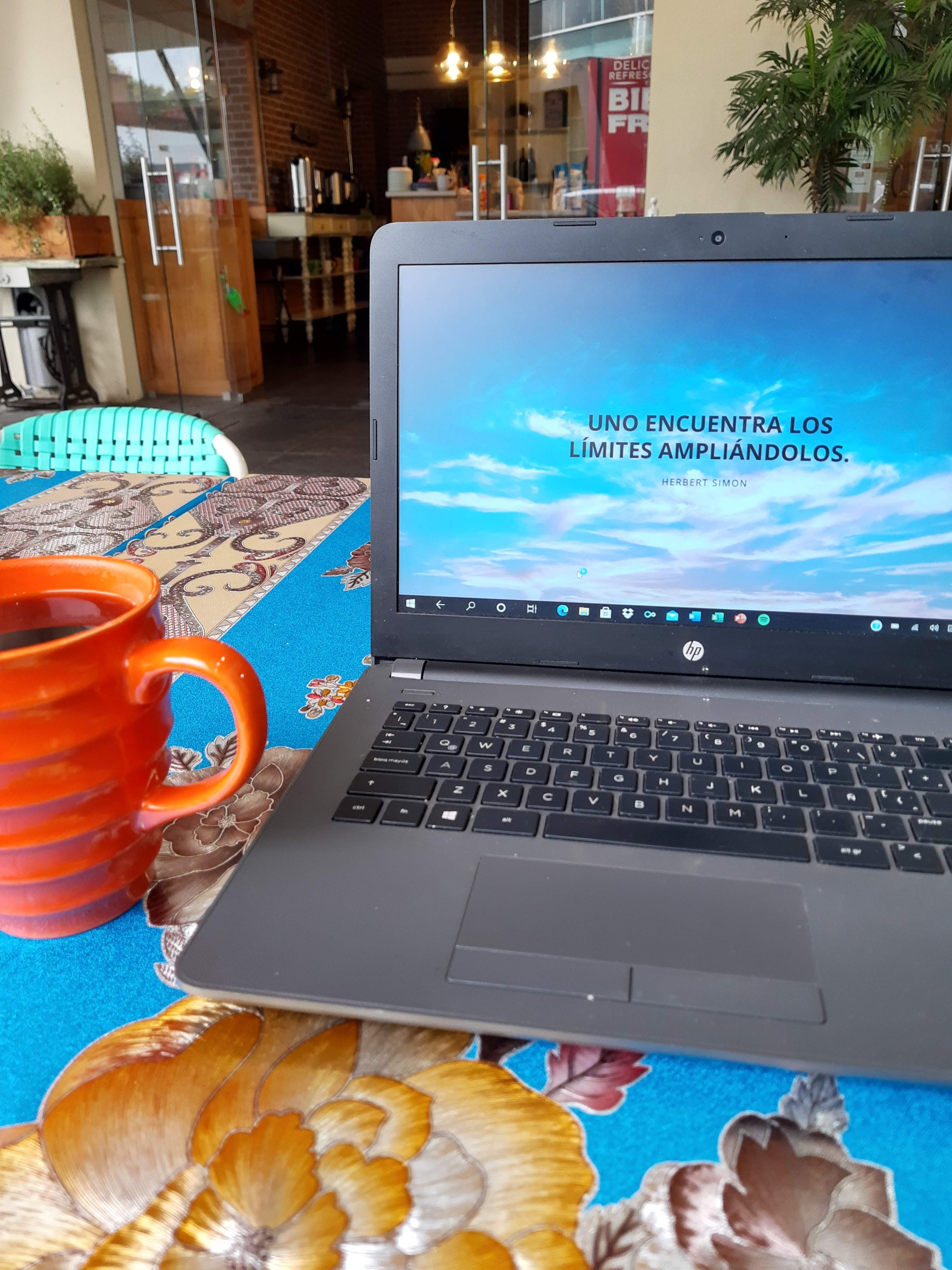 Chiay Natural image 8