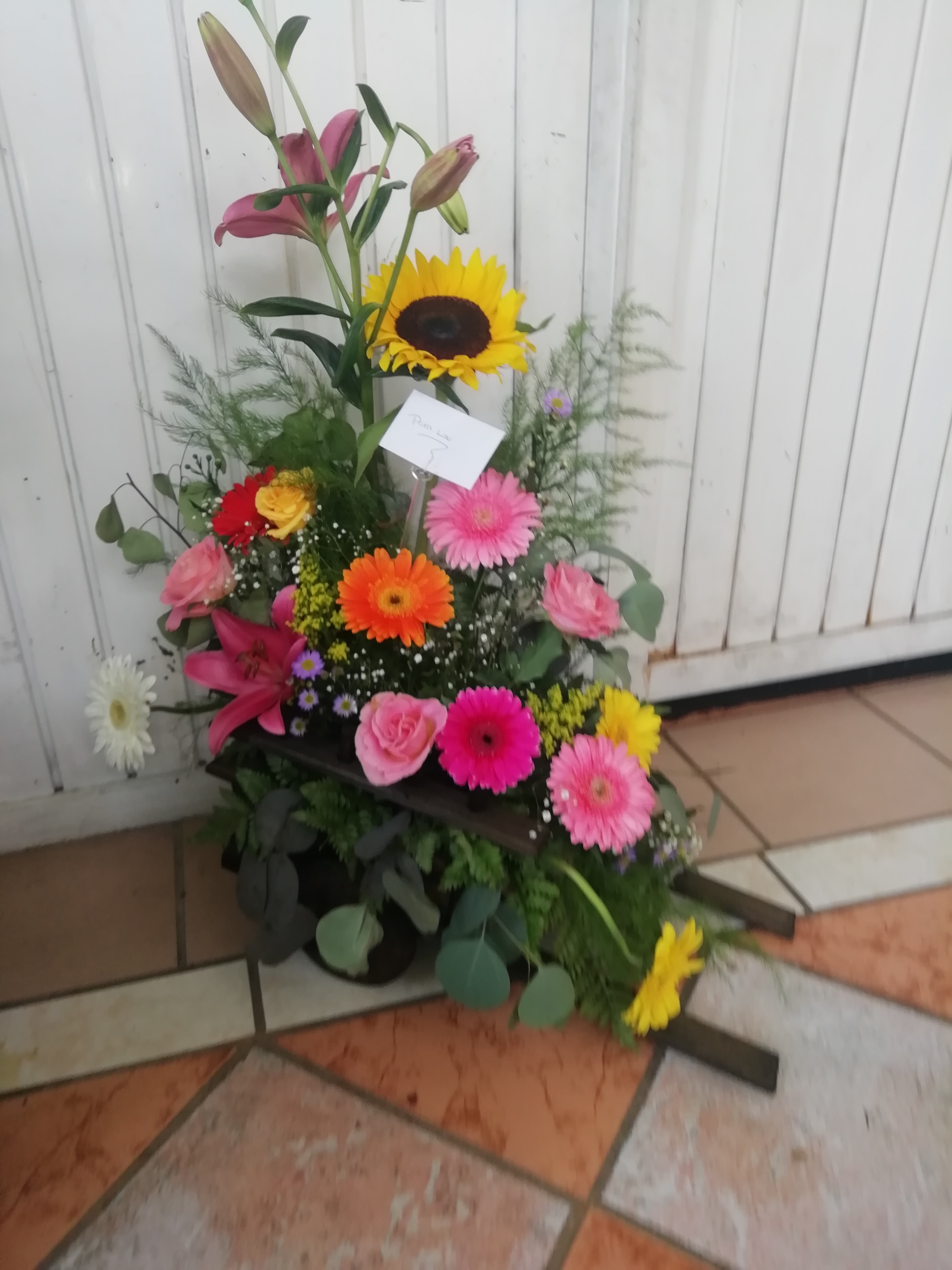 El Curandero image 6