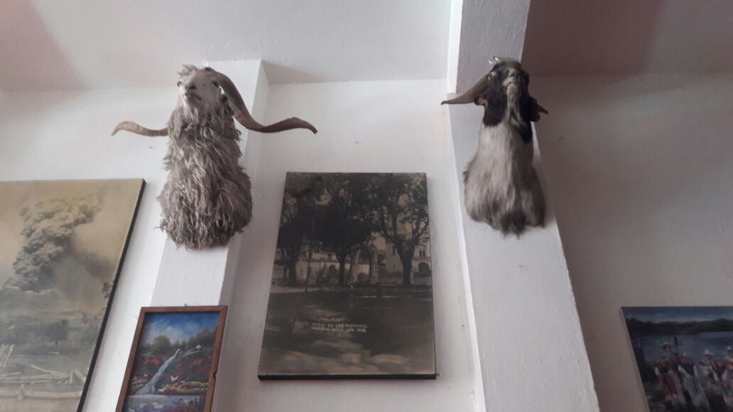 Birria Arriaga image 5