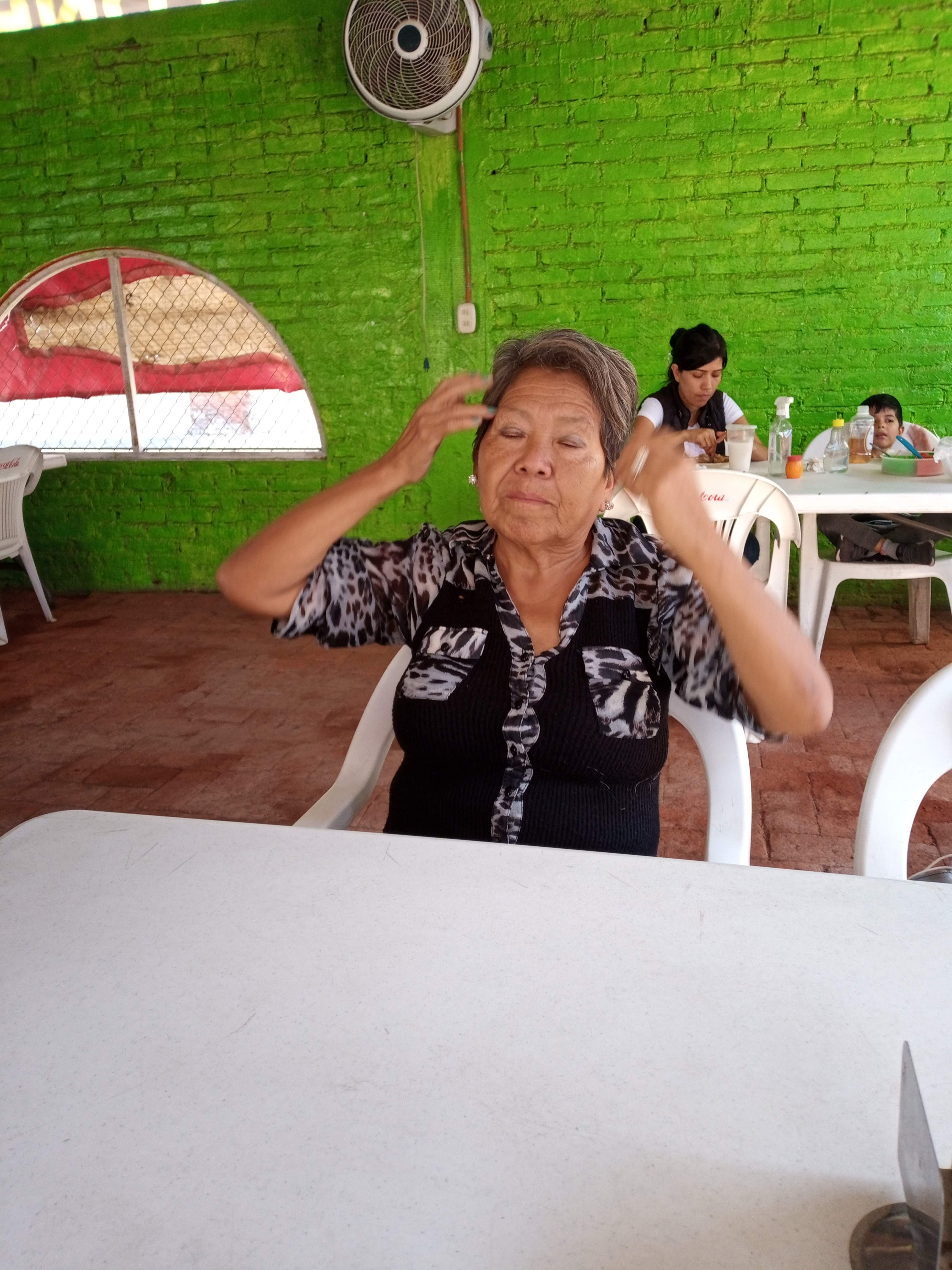 Pollos Monarca image 10