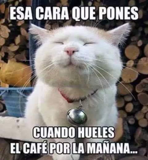 Chilitos Tortas image 3