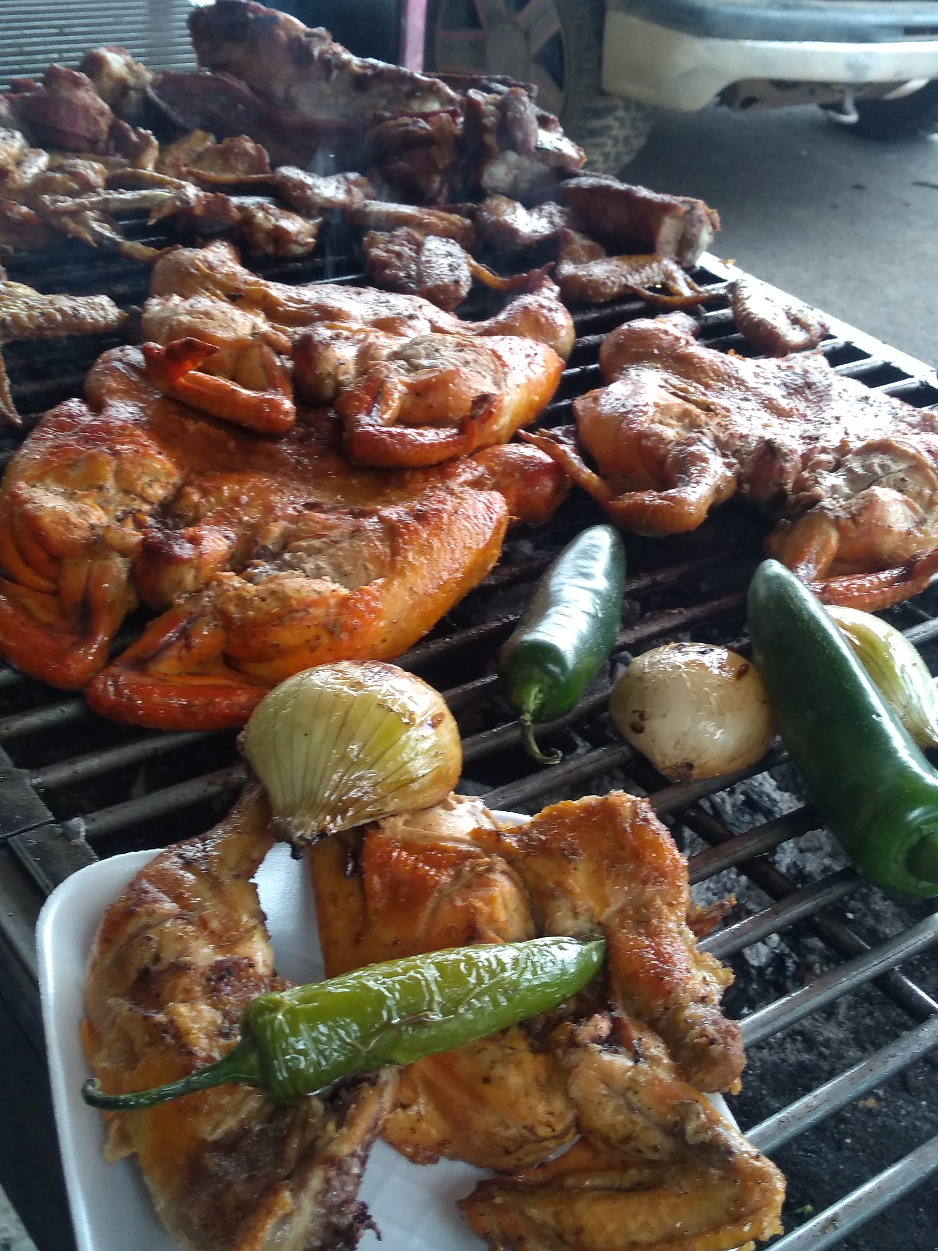 El pollo Tony image 2