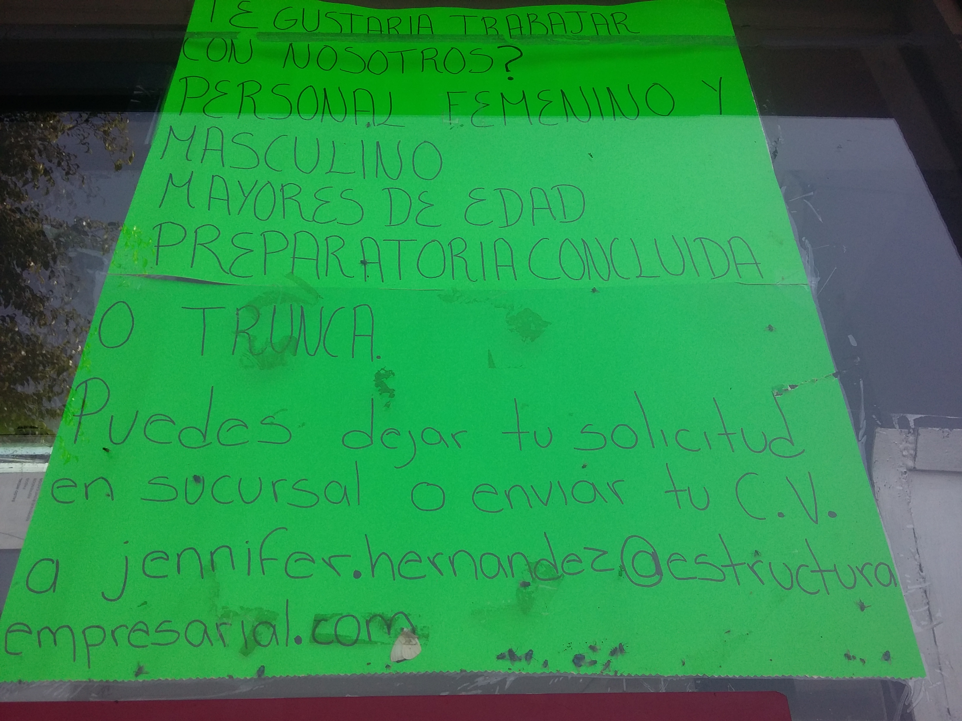 Tacos de Birria "El Numero 1" image 7