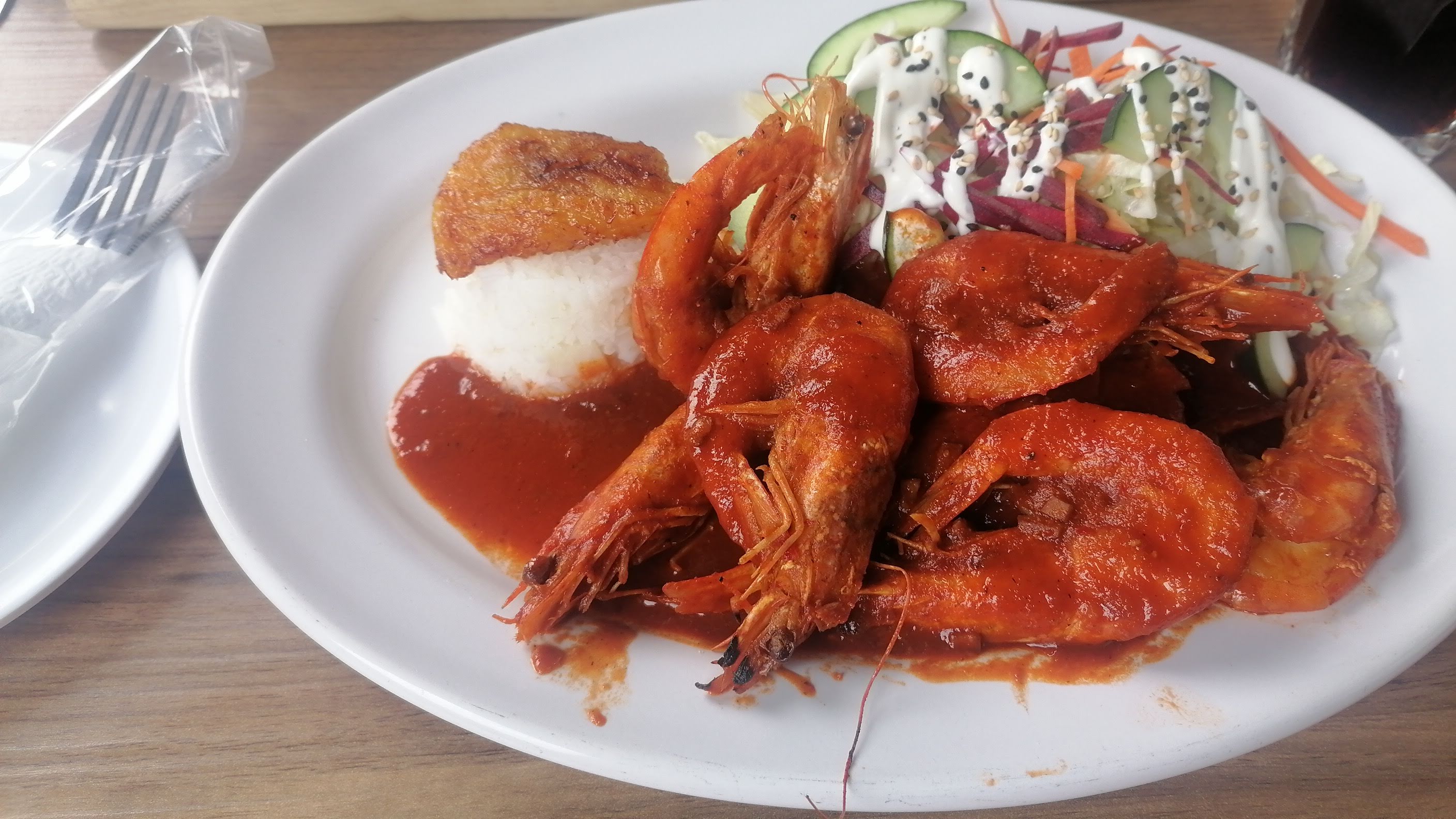 FOGÓN SINALOENSE, MAR Y TIERRA. image 4