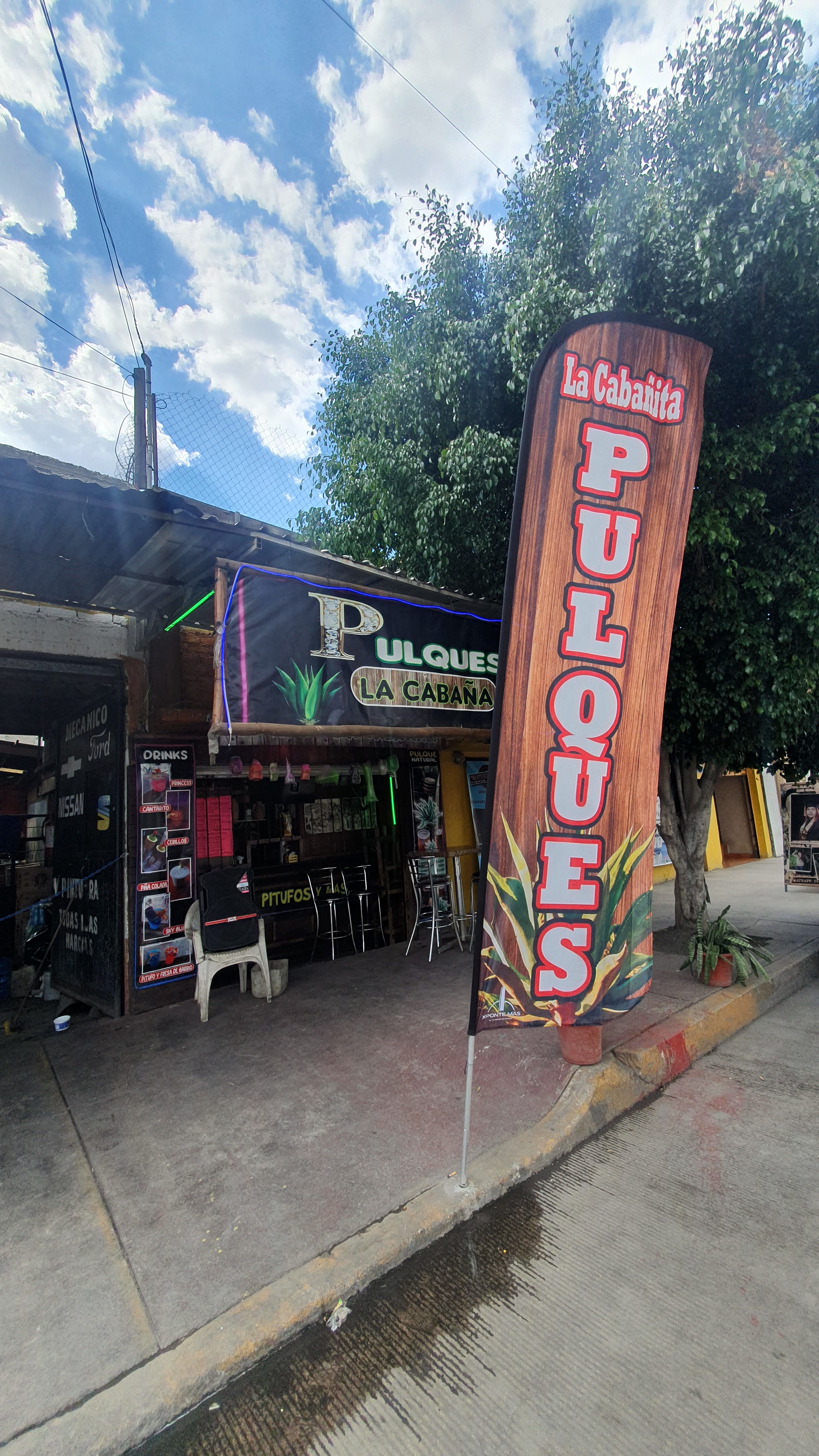 Pulques "la cabañita" image 1
