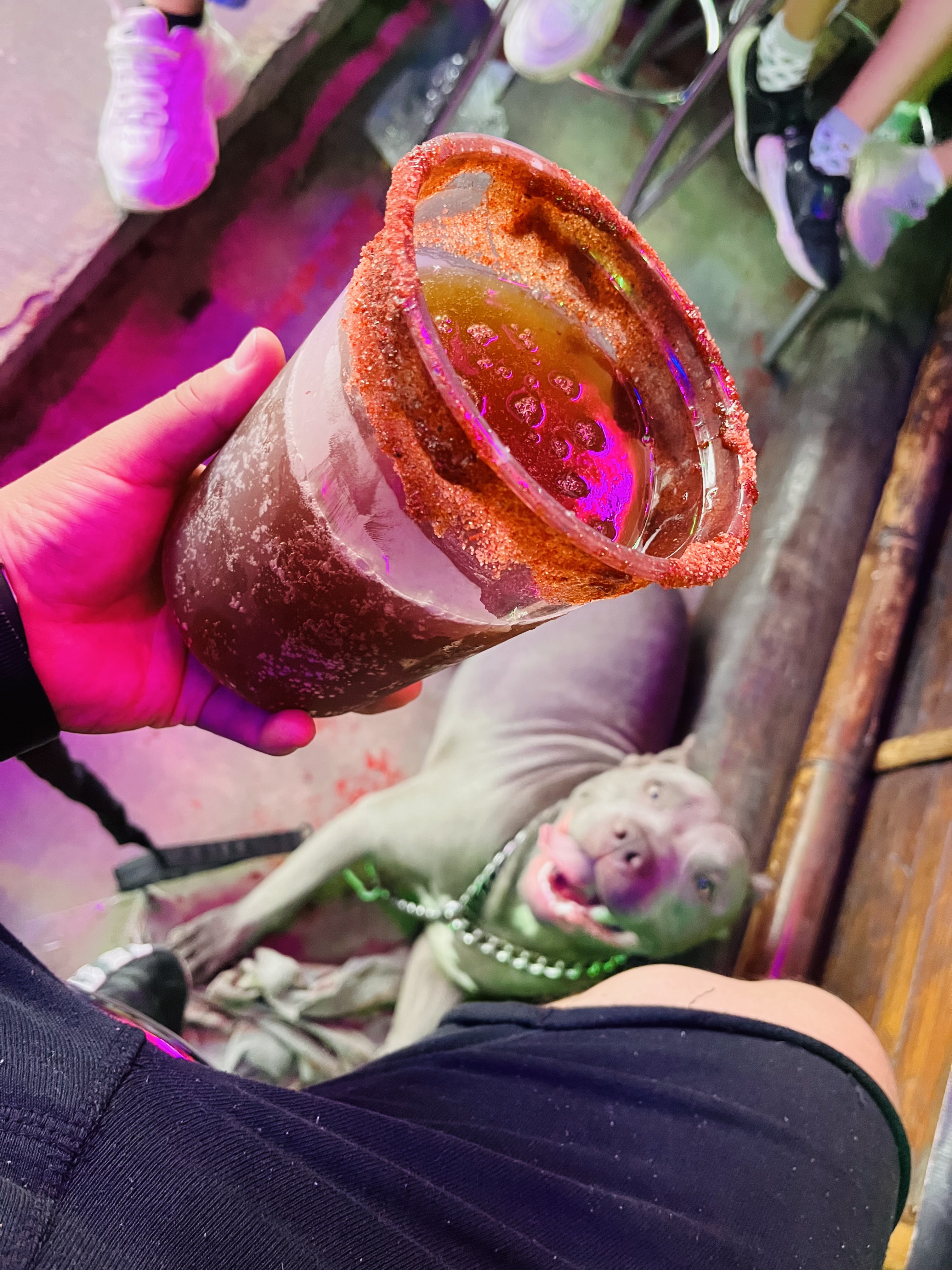 Pulques "la cabañita" image 3