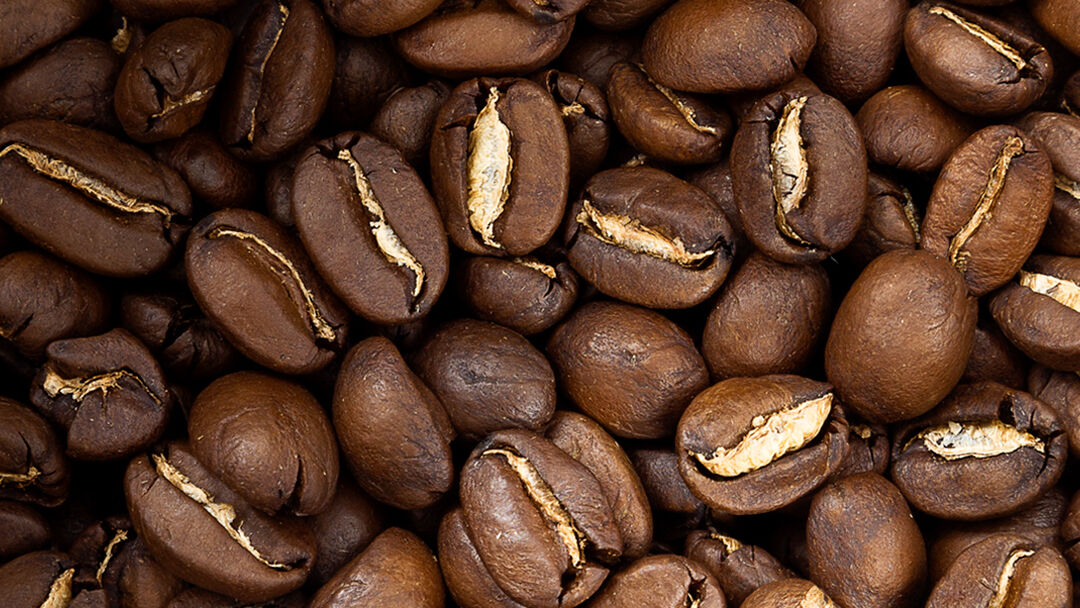 Alma Café image 2