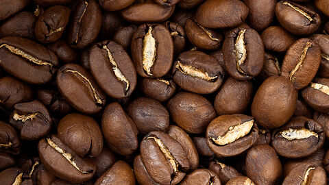 Alma Café image 2