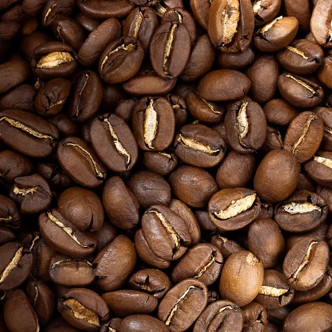 Alma Café image 3