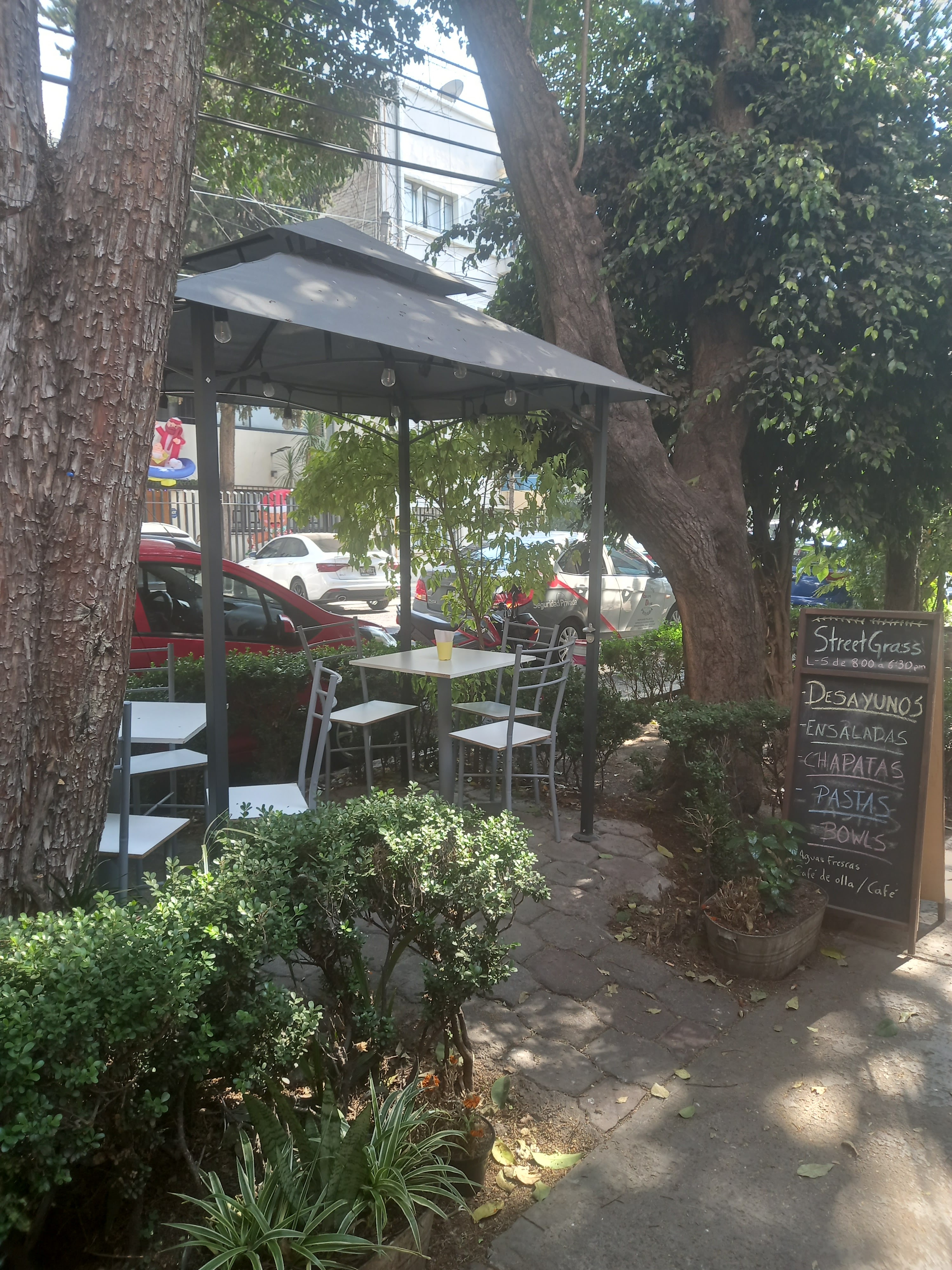 Street Grass image 1