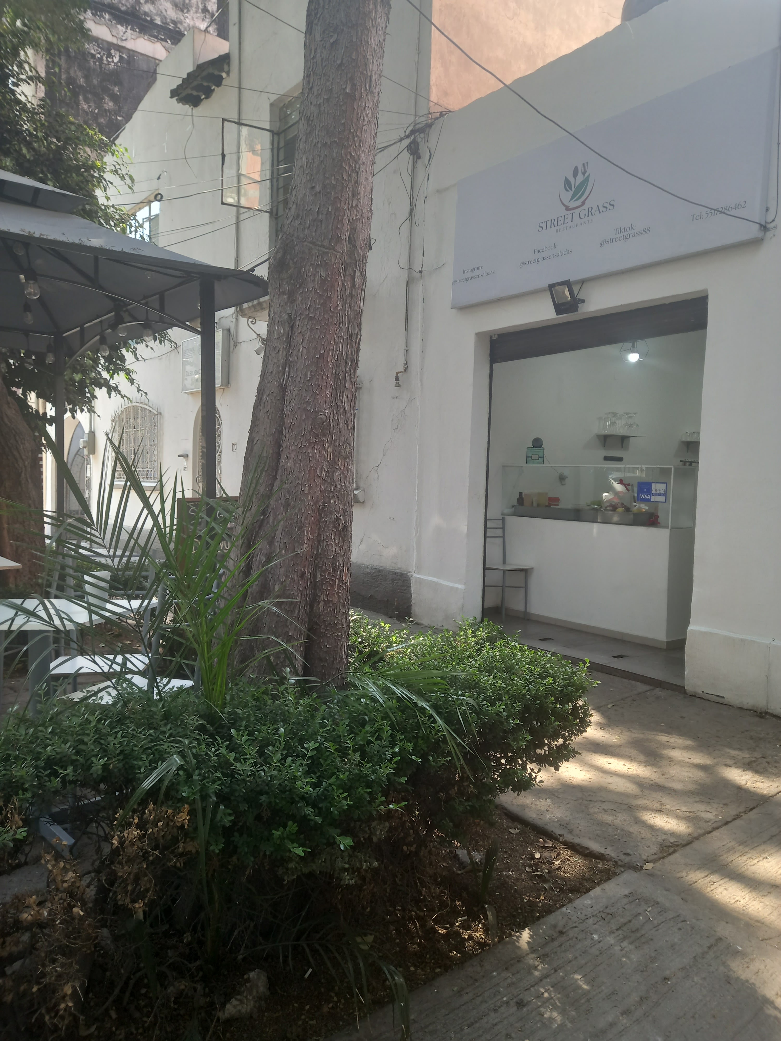 Street Grass image 10