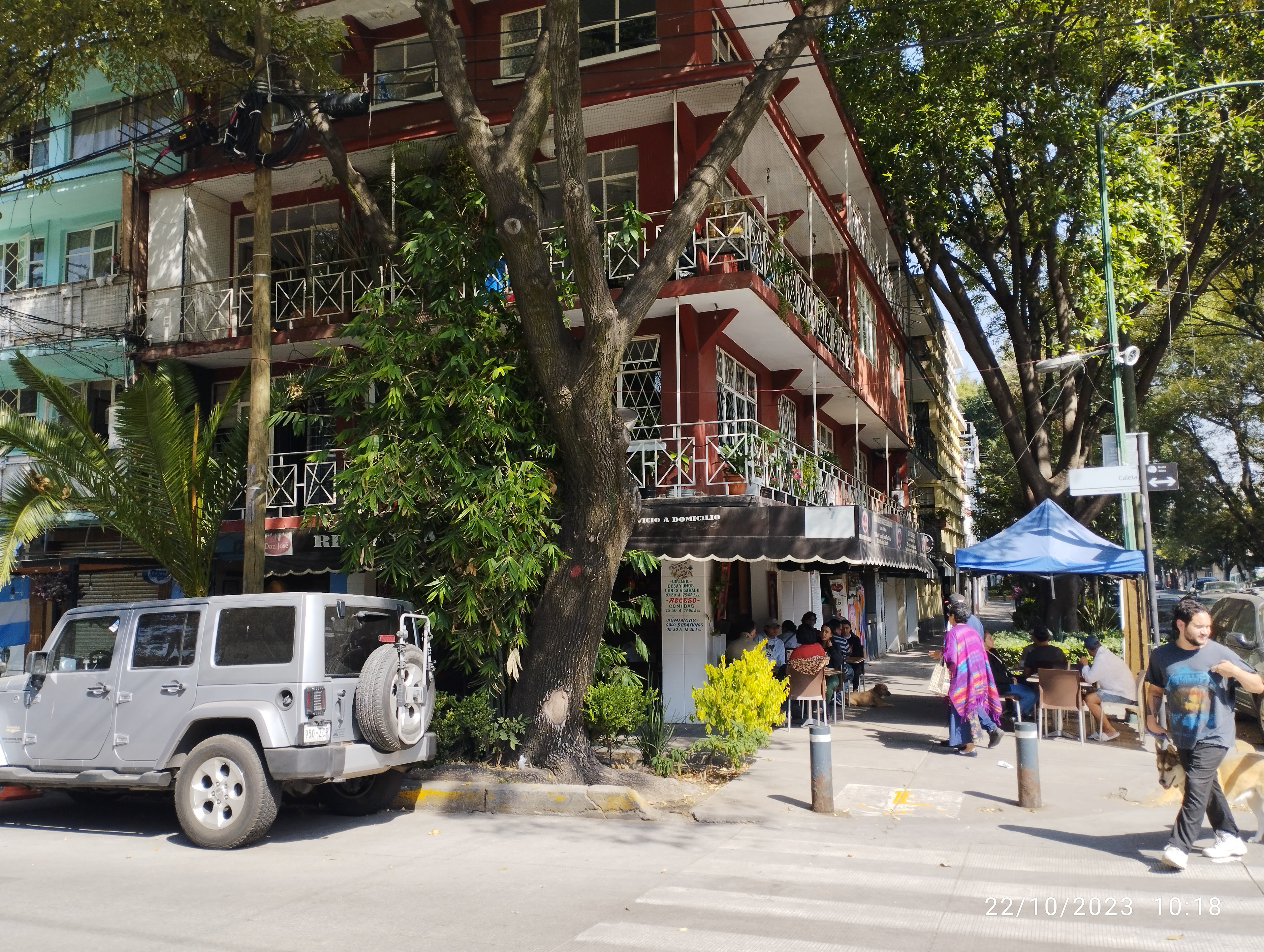 Restaurante Don José image 8