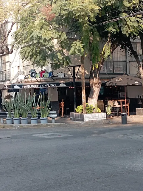 GoFox Restaurante image 7