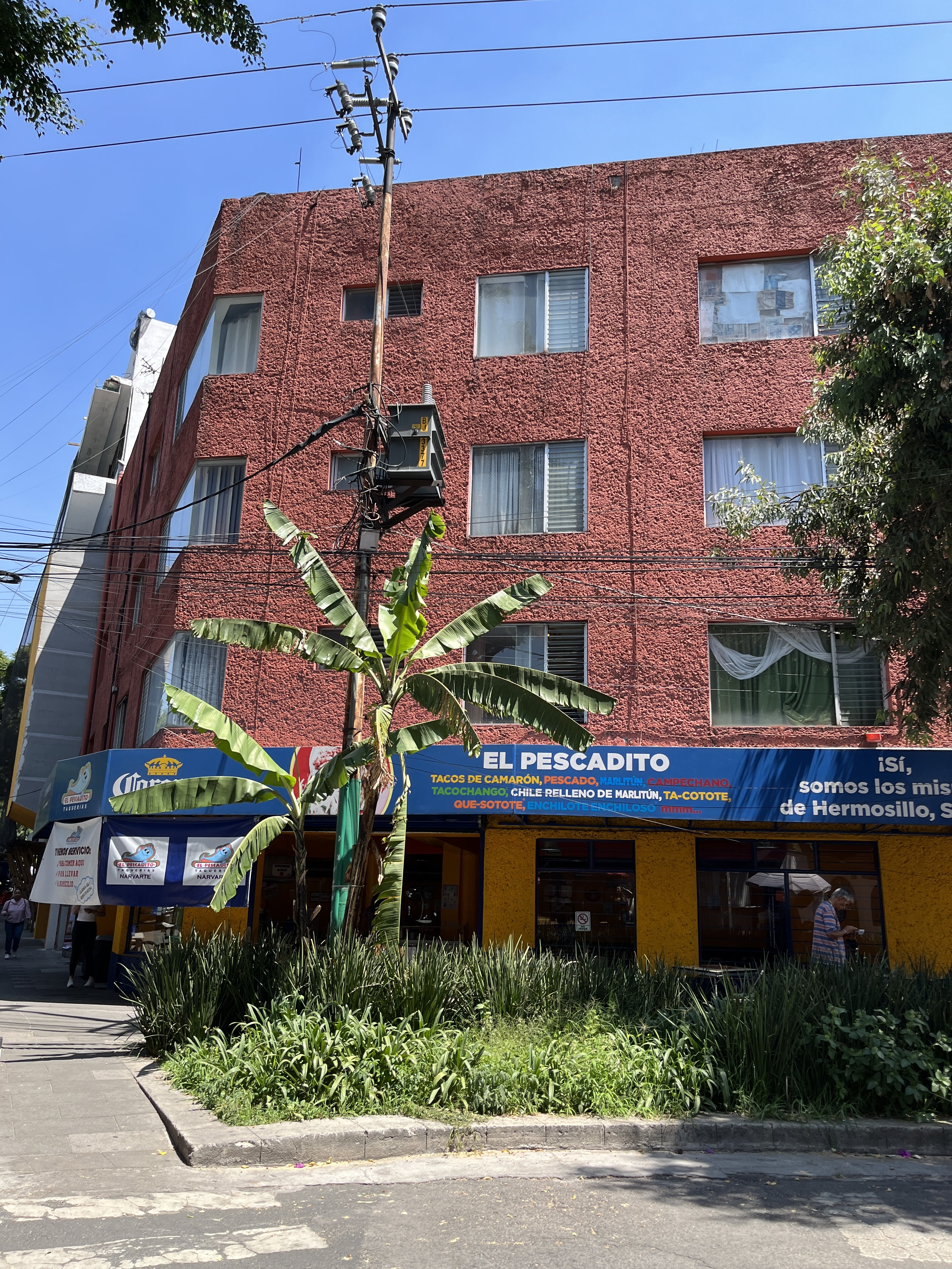 El pescadito image 8