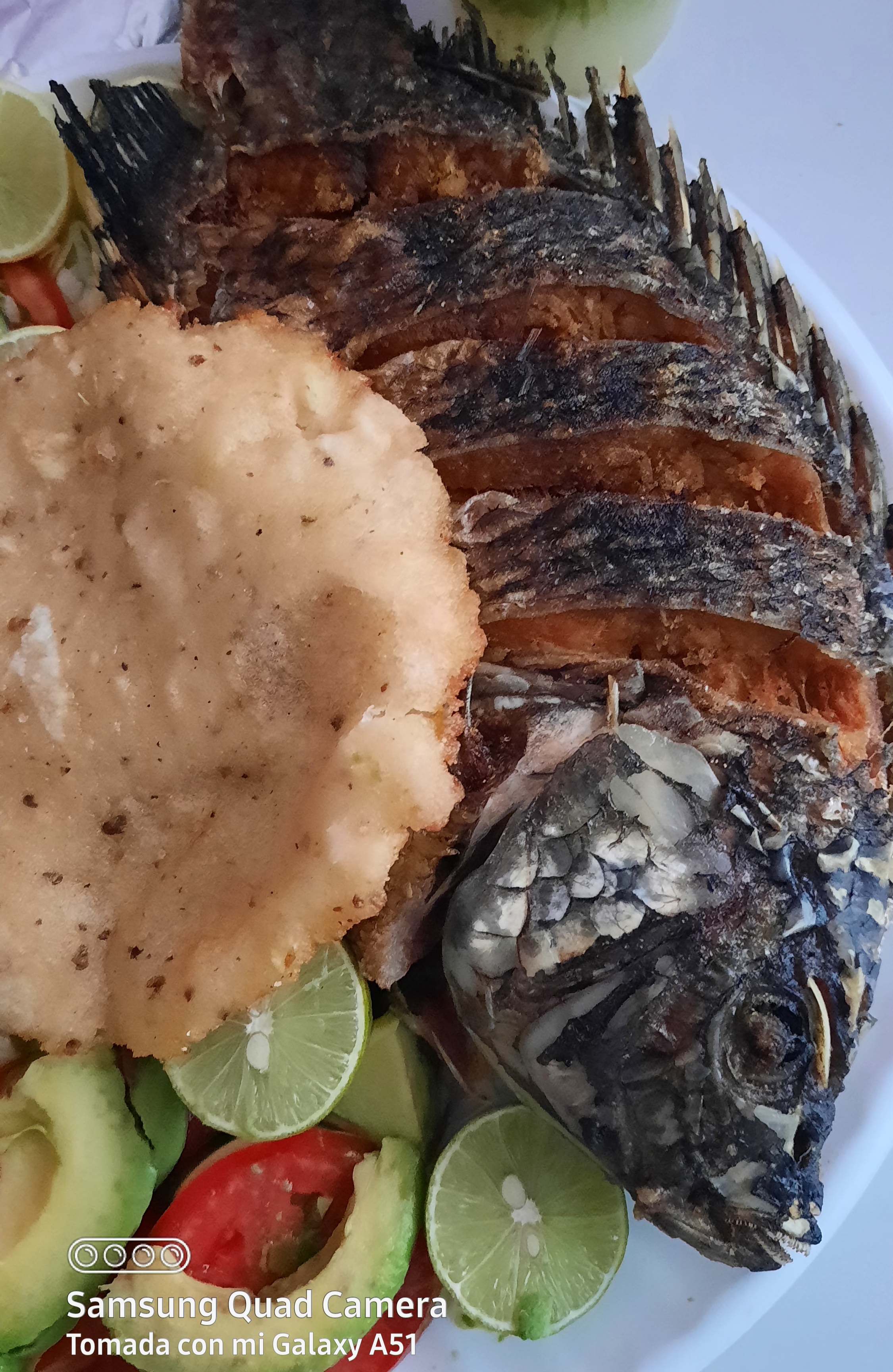 El Tungar Cockteleria Suc. Catedral image 7