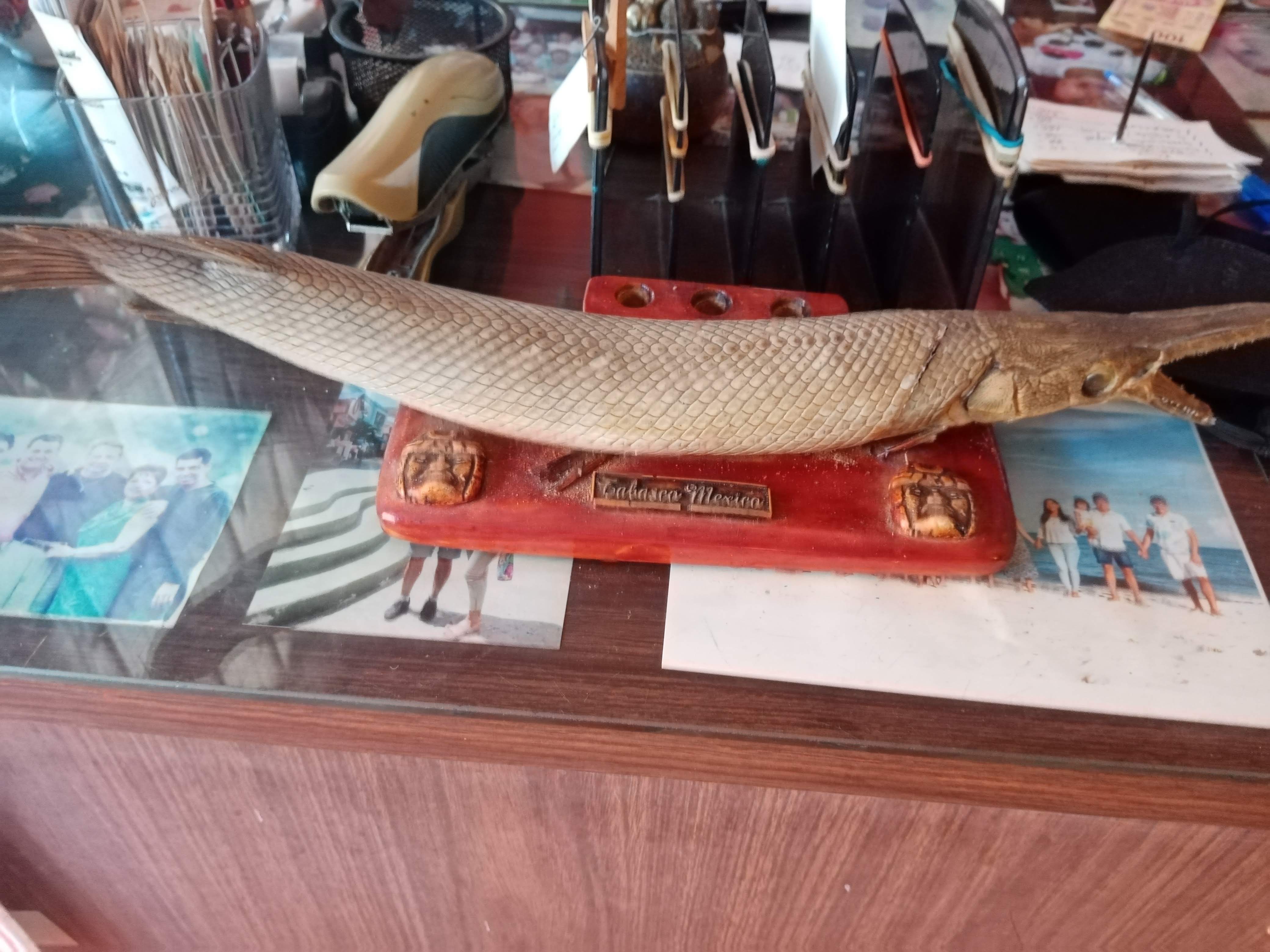 La Fonda de los Abuelos image 4