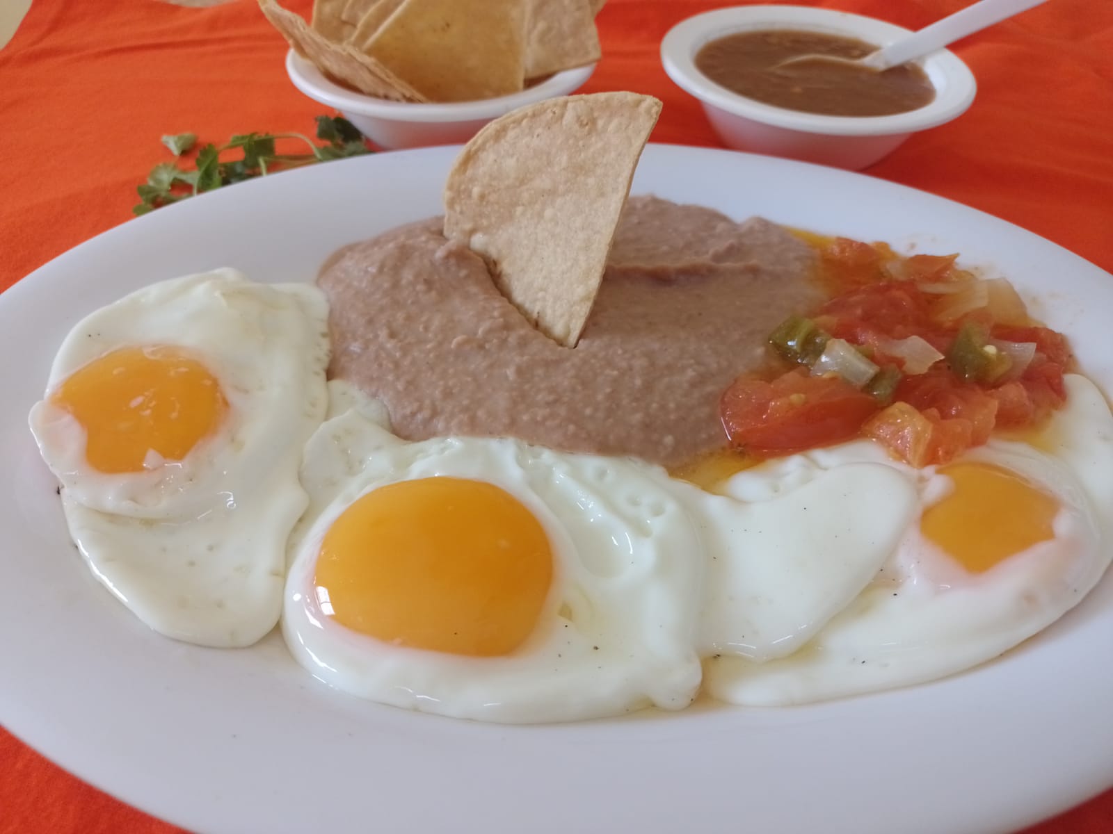 La Casa de Las Milanesas image 6