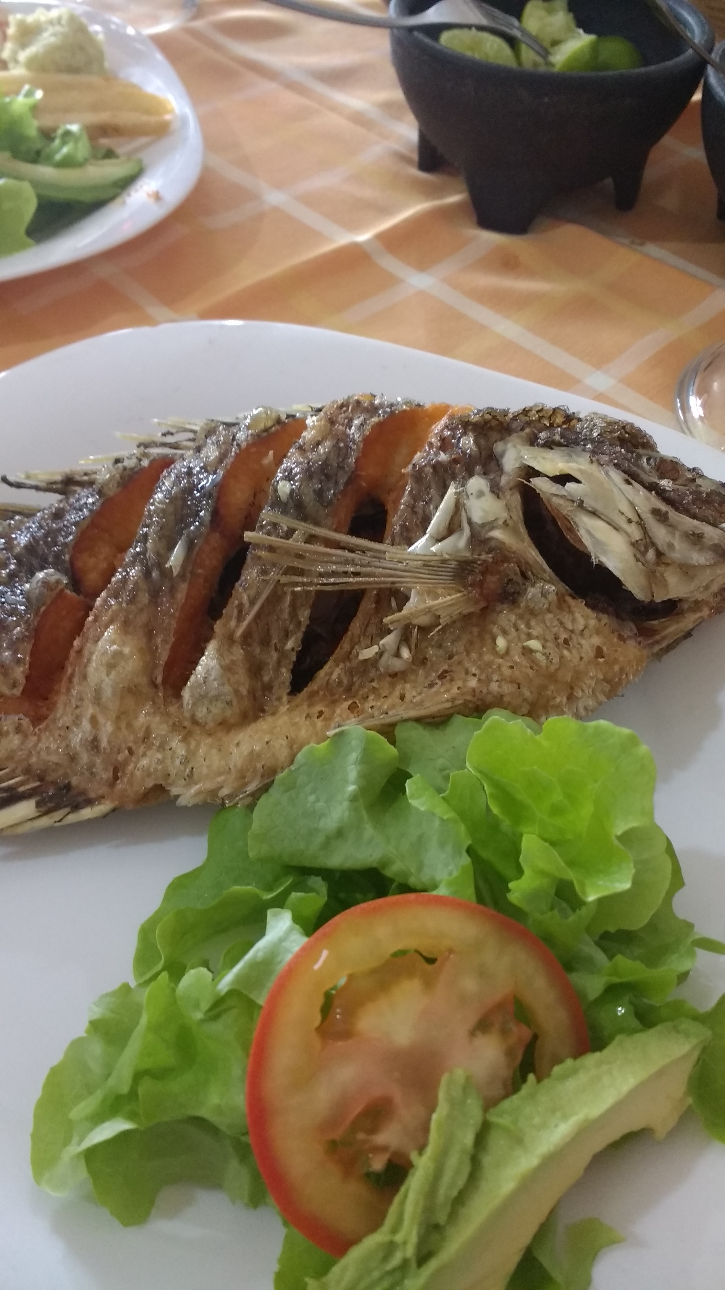 Rincón Mazatleco image 8