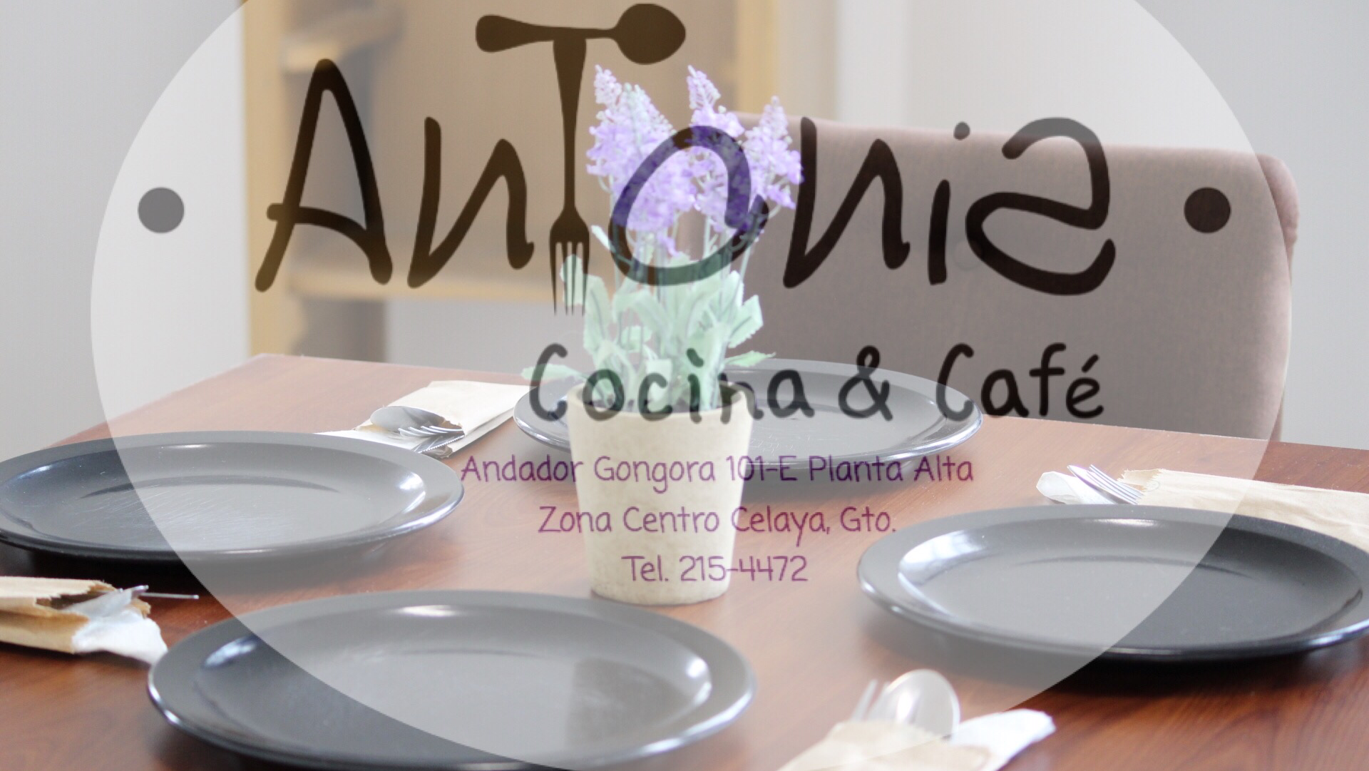 Antonia Cocina & Café image 3