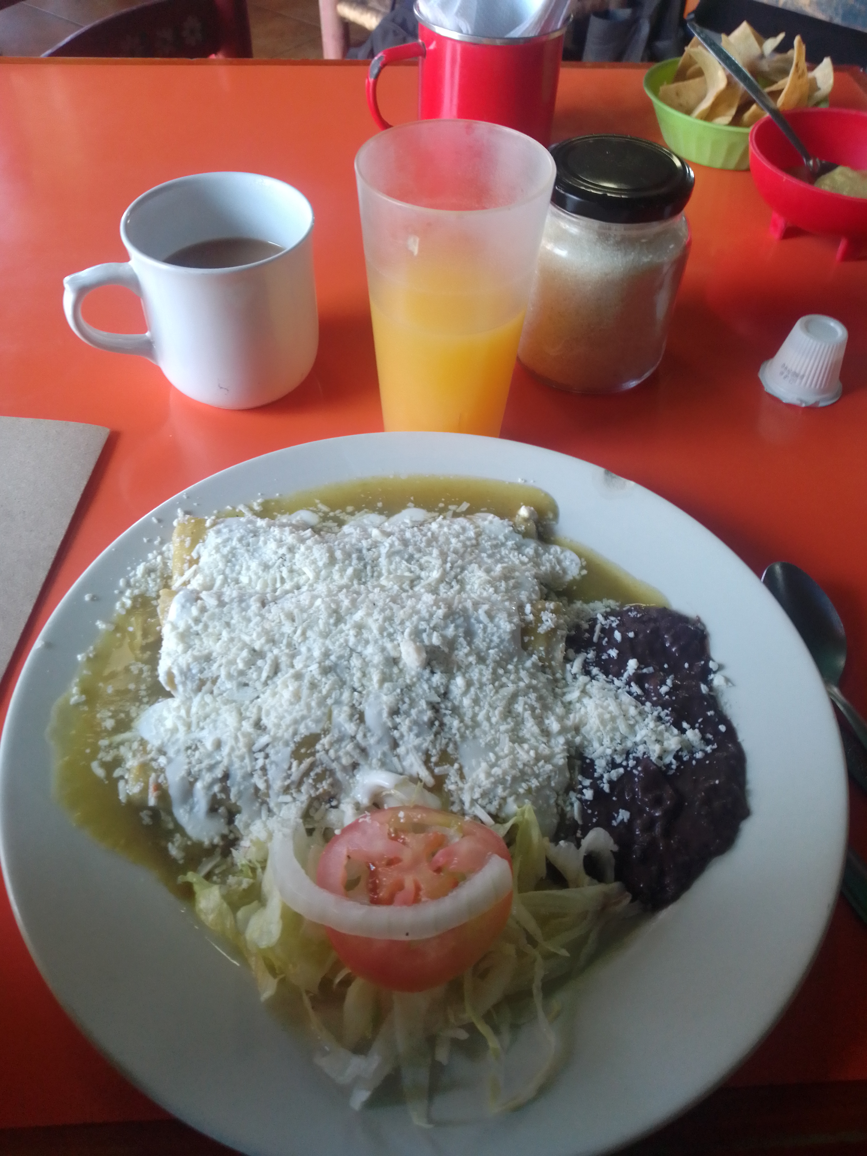 Iguanas Green’s image 2