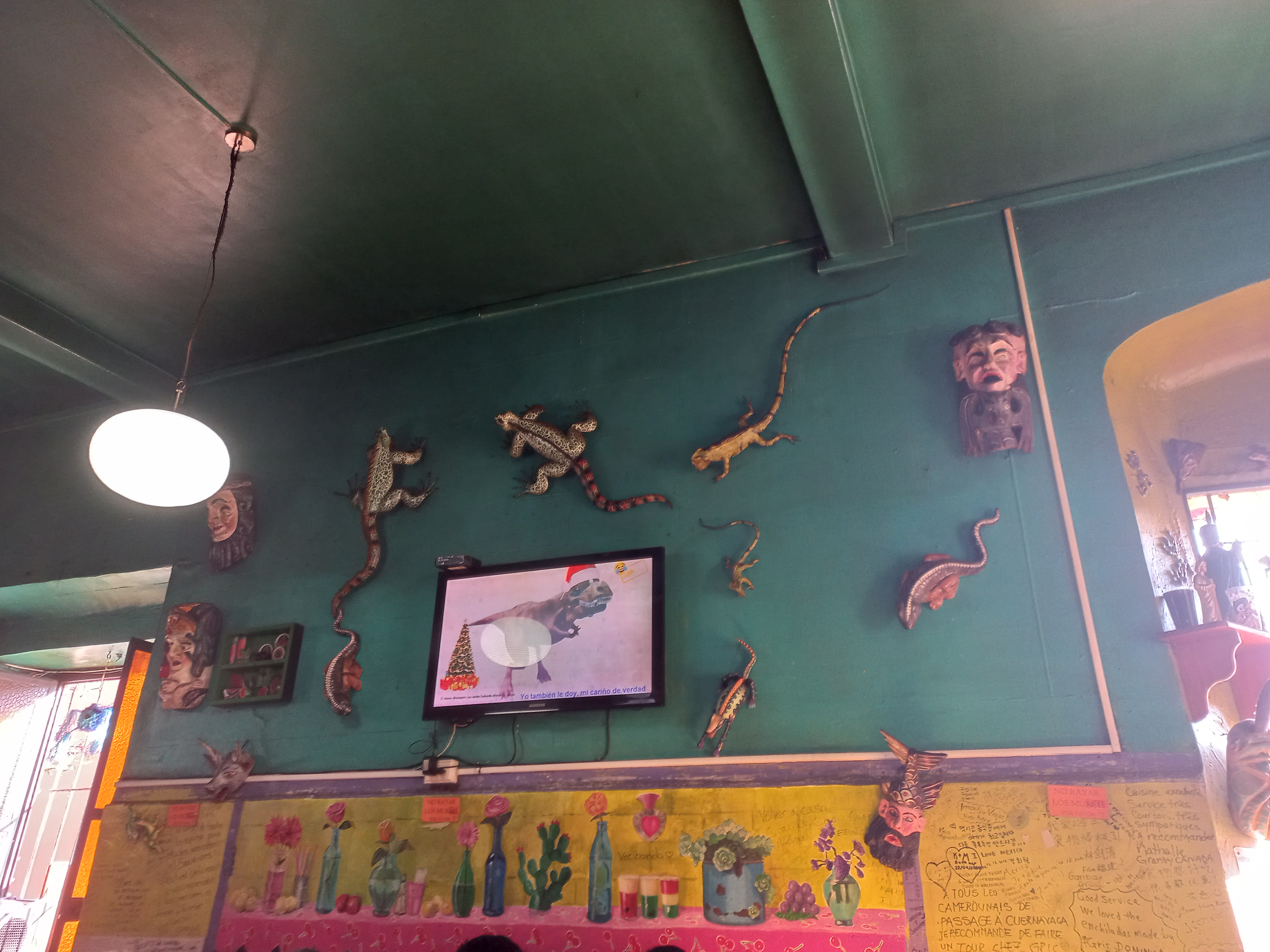 Iguanas Green’s image 5