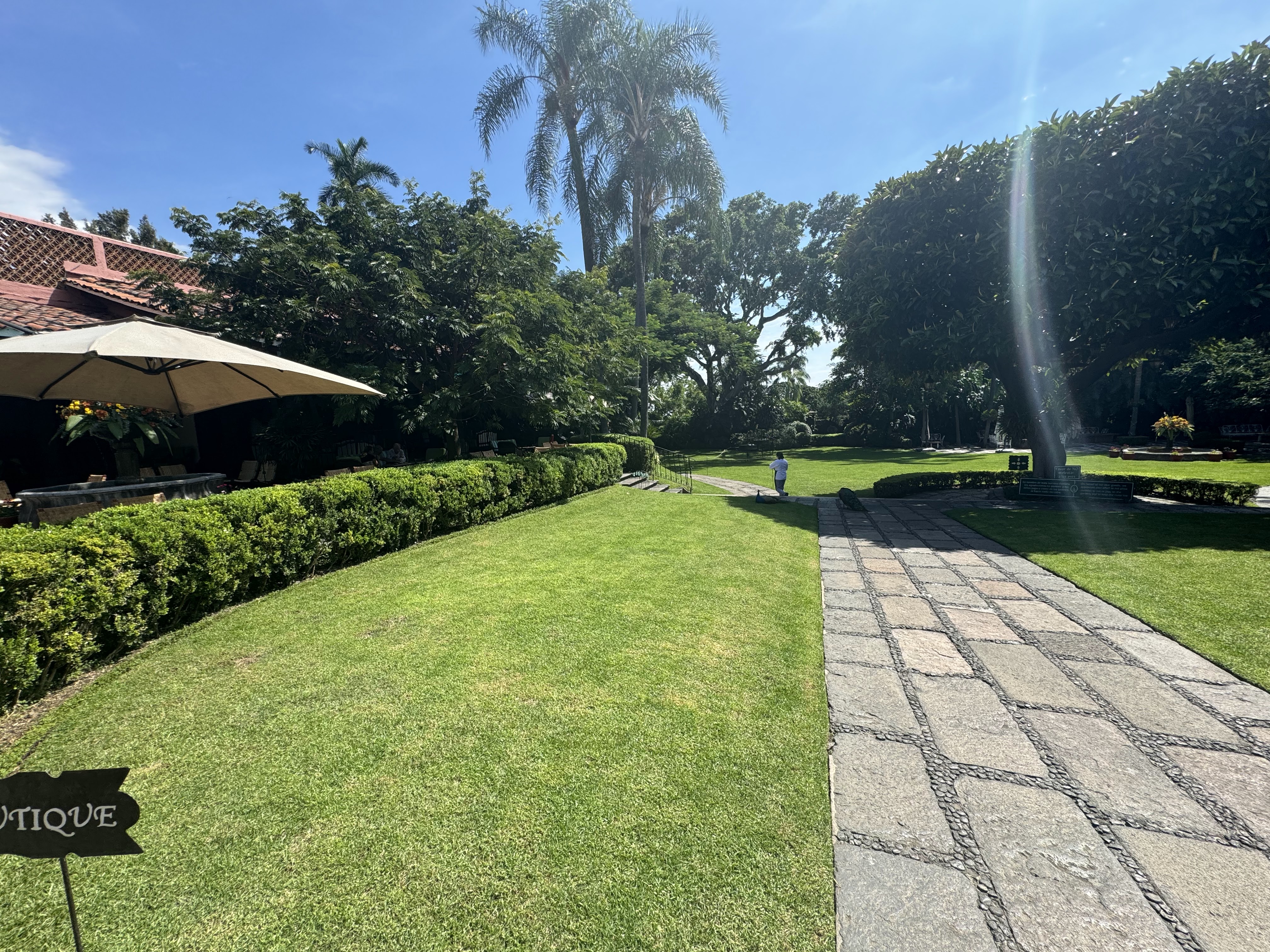 Las Mañanitas image 5