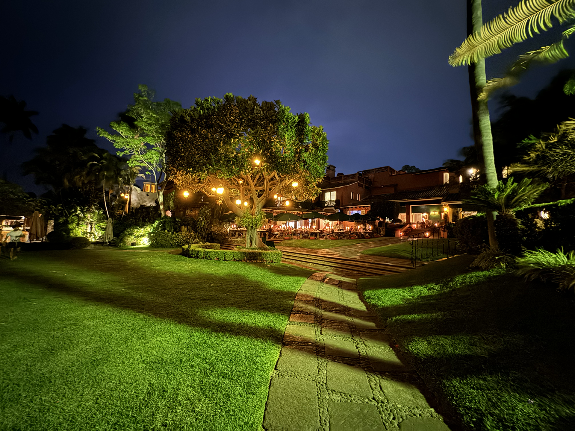 Las Mañanitas image 8