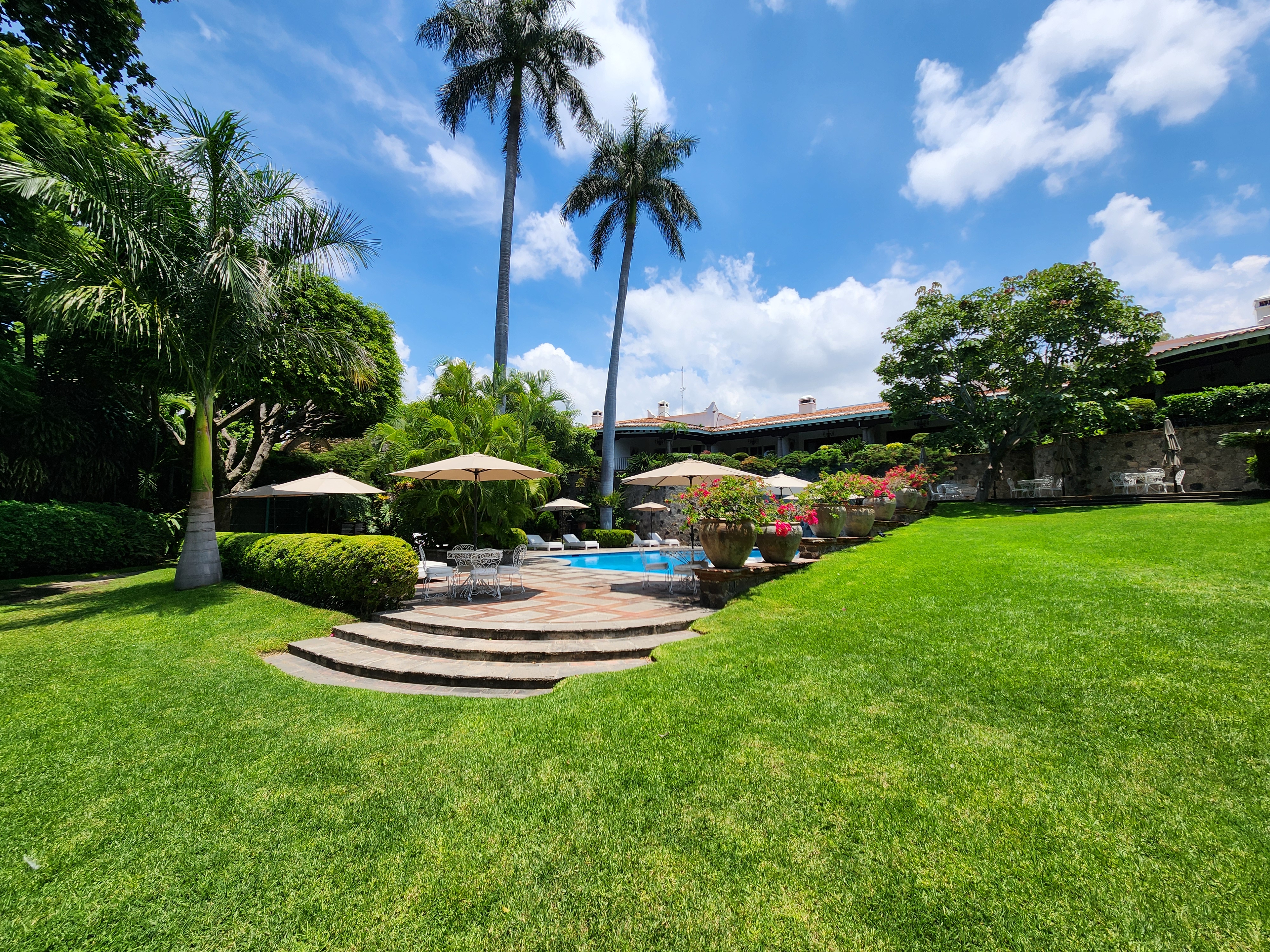 Las Mañanitas image 10