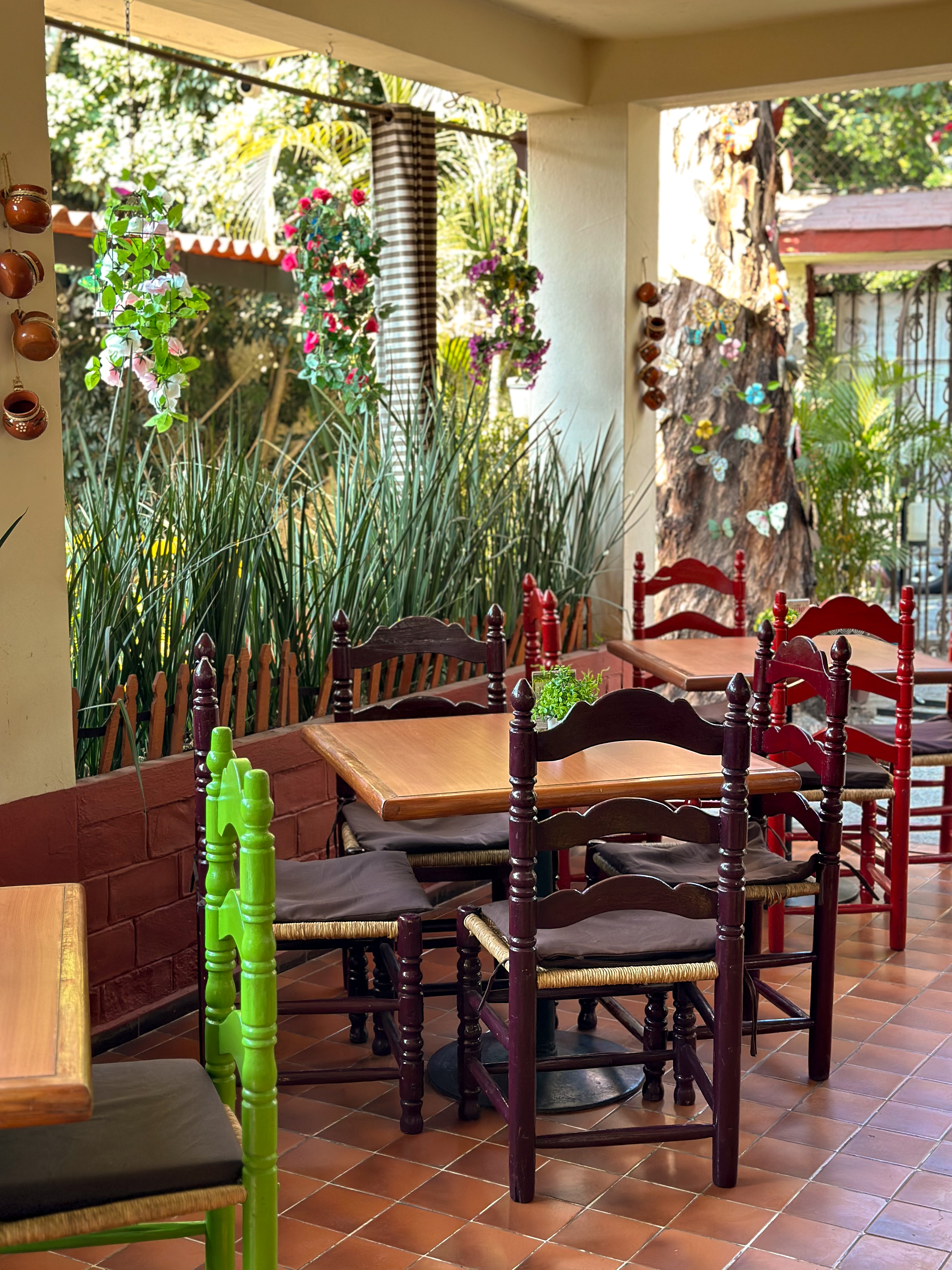 Los Quelites image 4