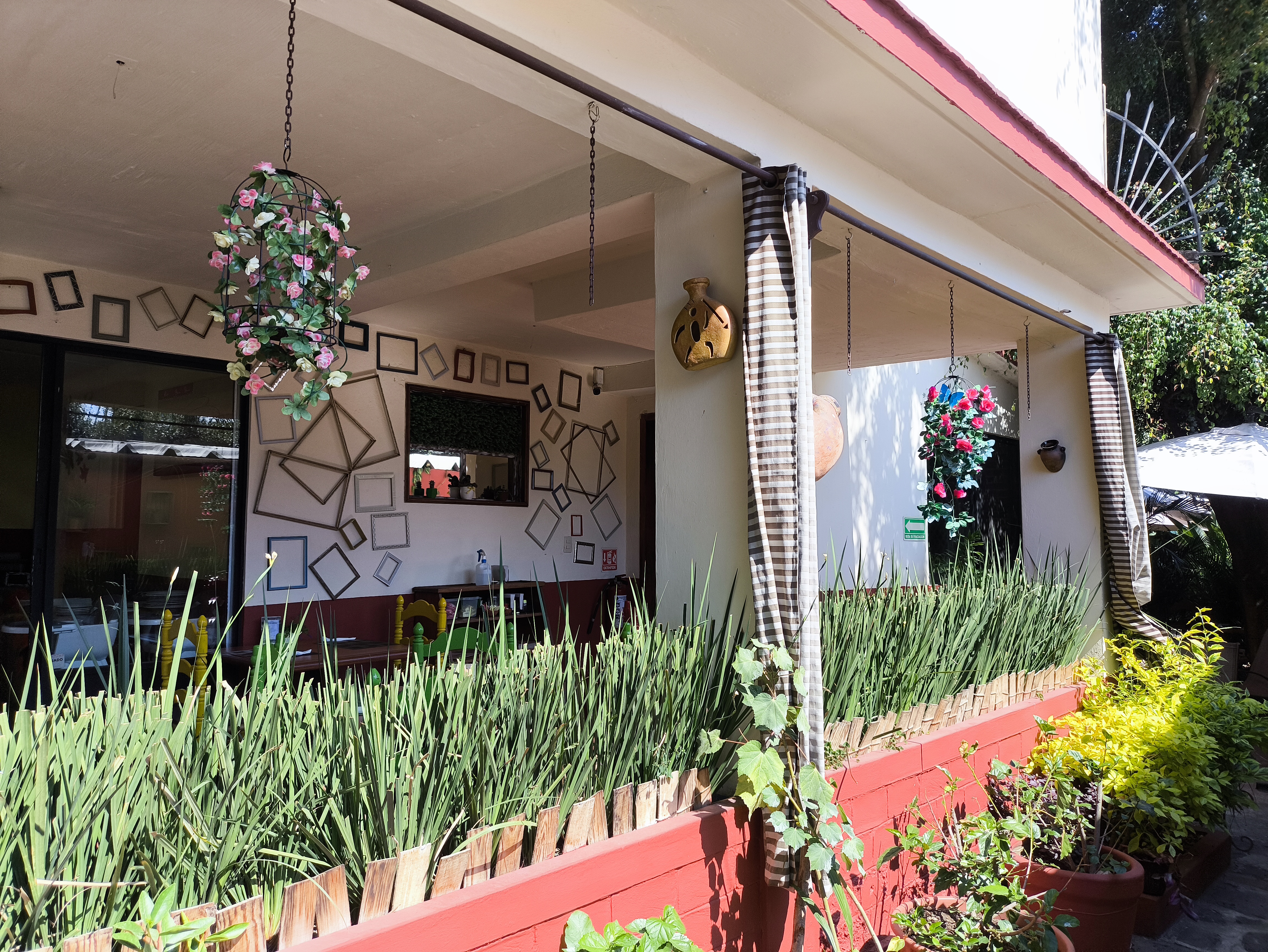 Los Quelites image 5