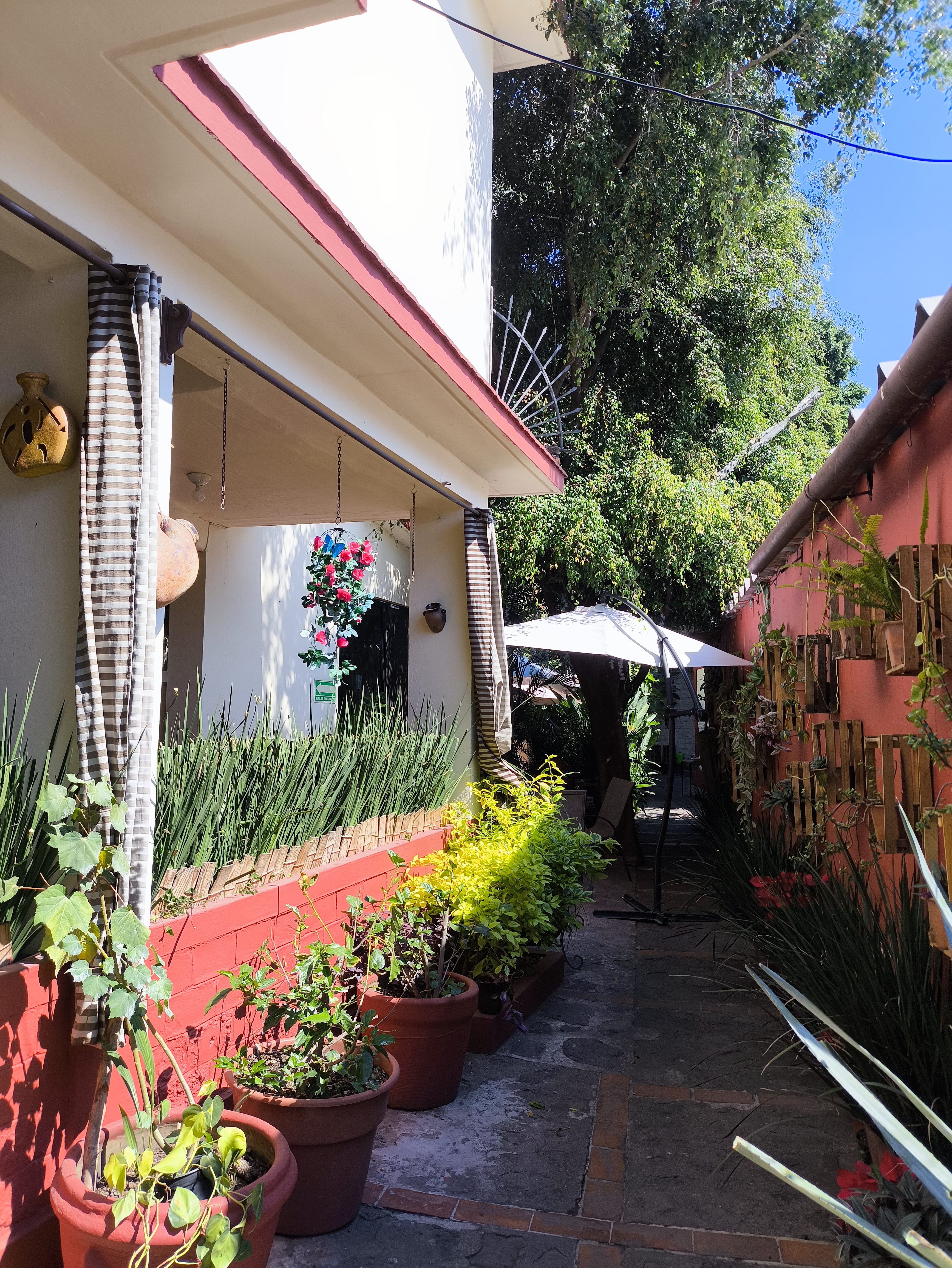 Los Quelites image 7