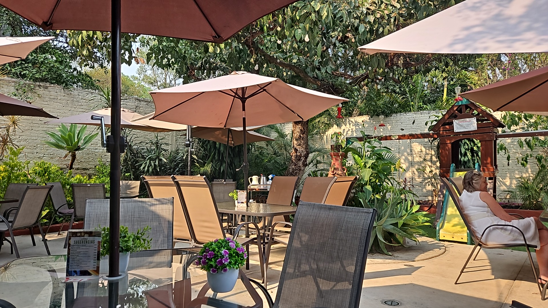 Los Quelites image 9