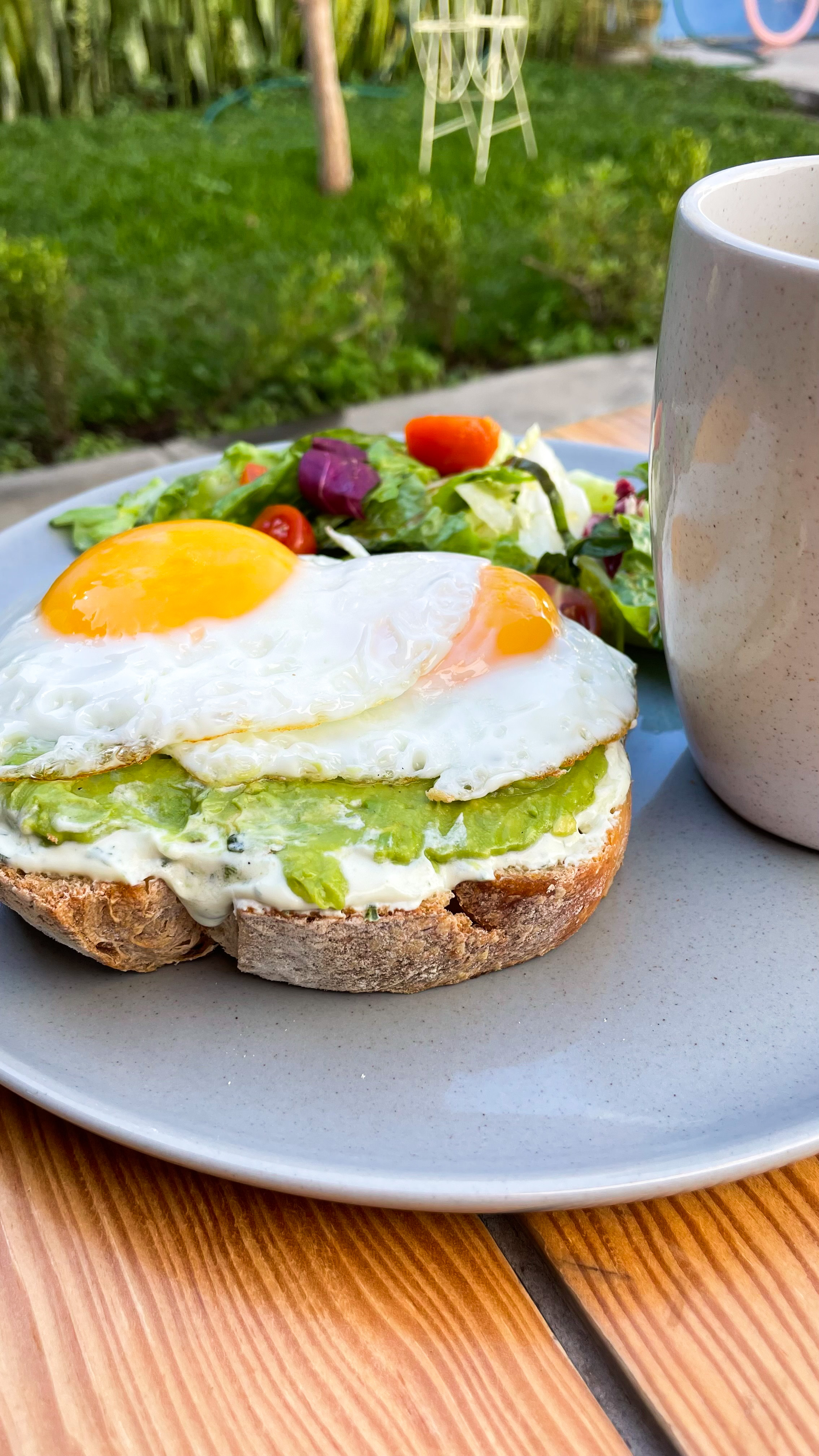 Condesa Tepic image 3