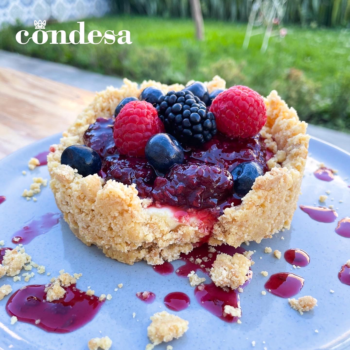 Condesa Tepic image 5