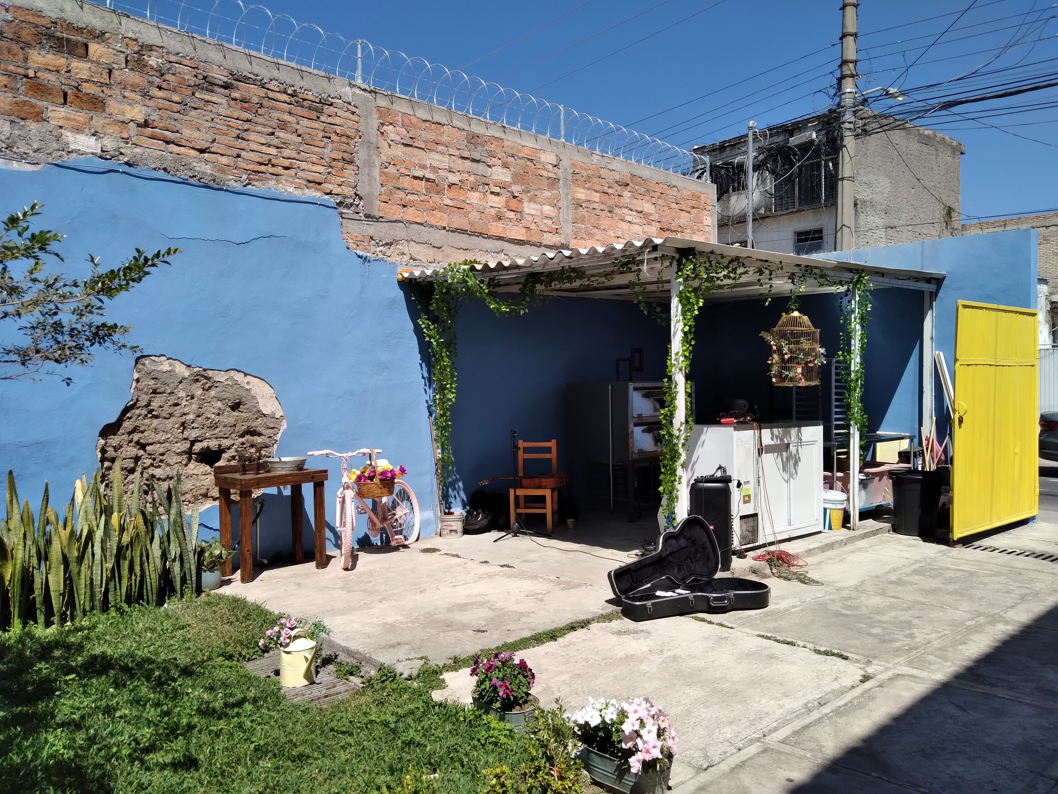 Condesa Tepic image 8