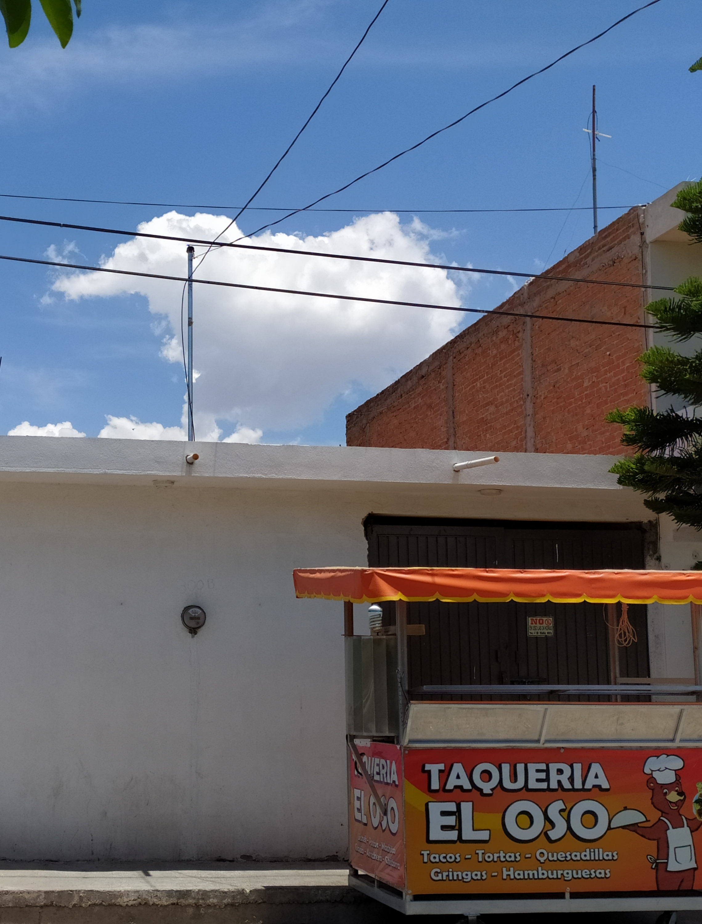 Taquería El OsO image 6
