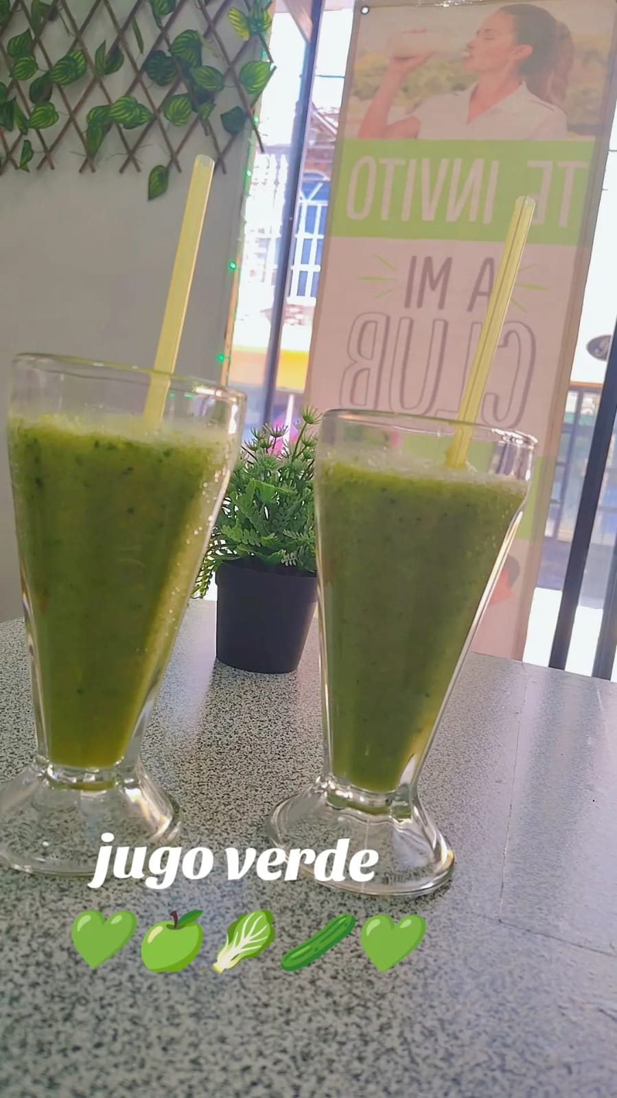 CLUB DE NUTRICIóN OZ AND SUN image 5