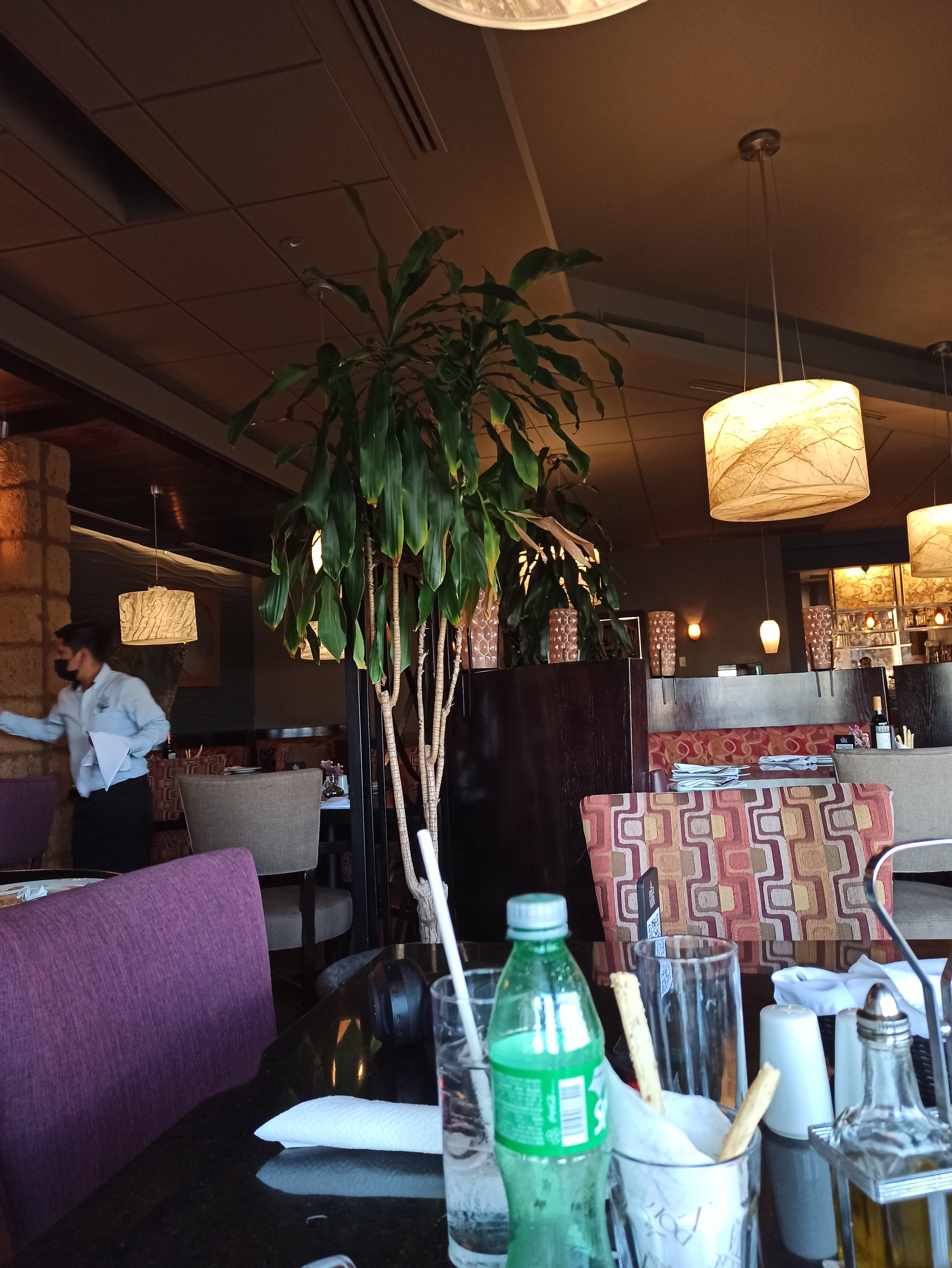 La Dolce Vita de México image 6