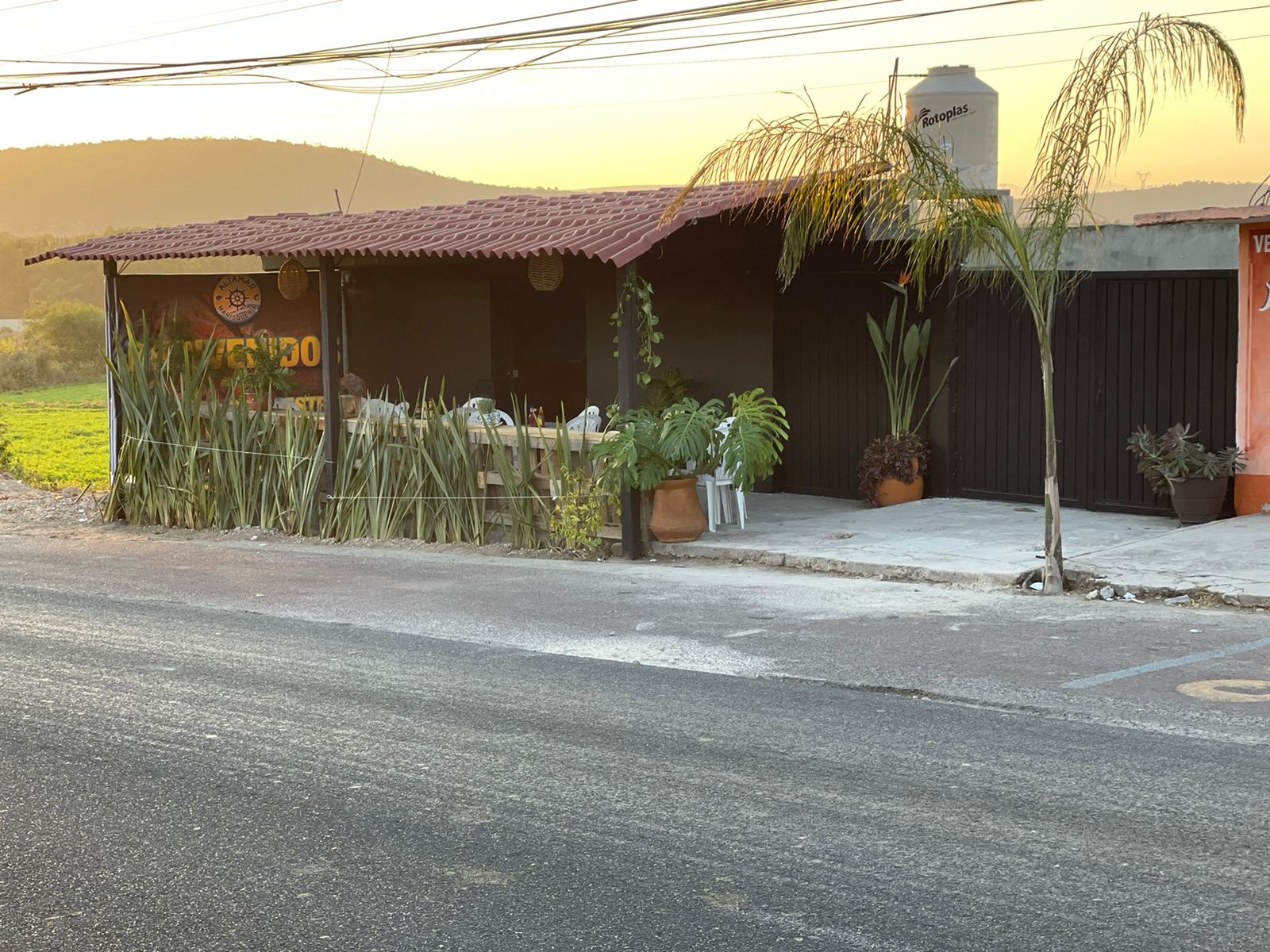 AltaMar Marisquería image 3